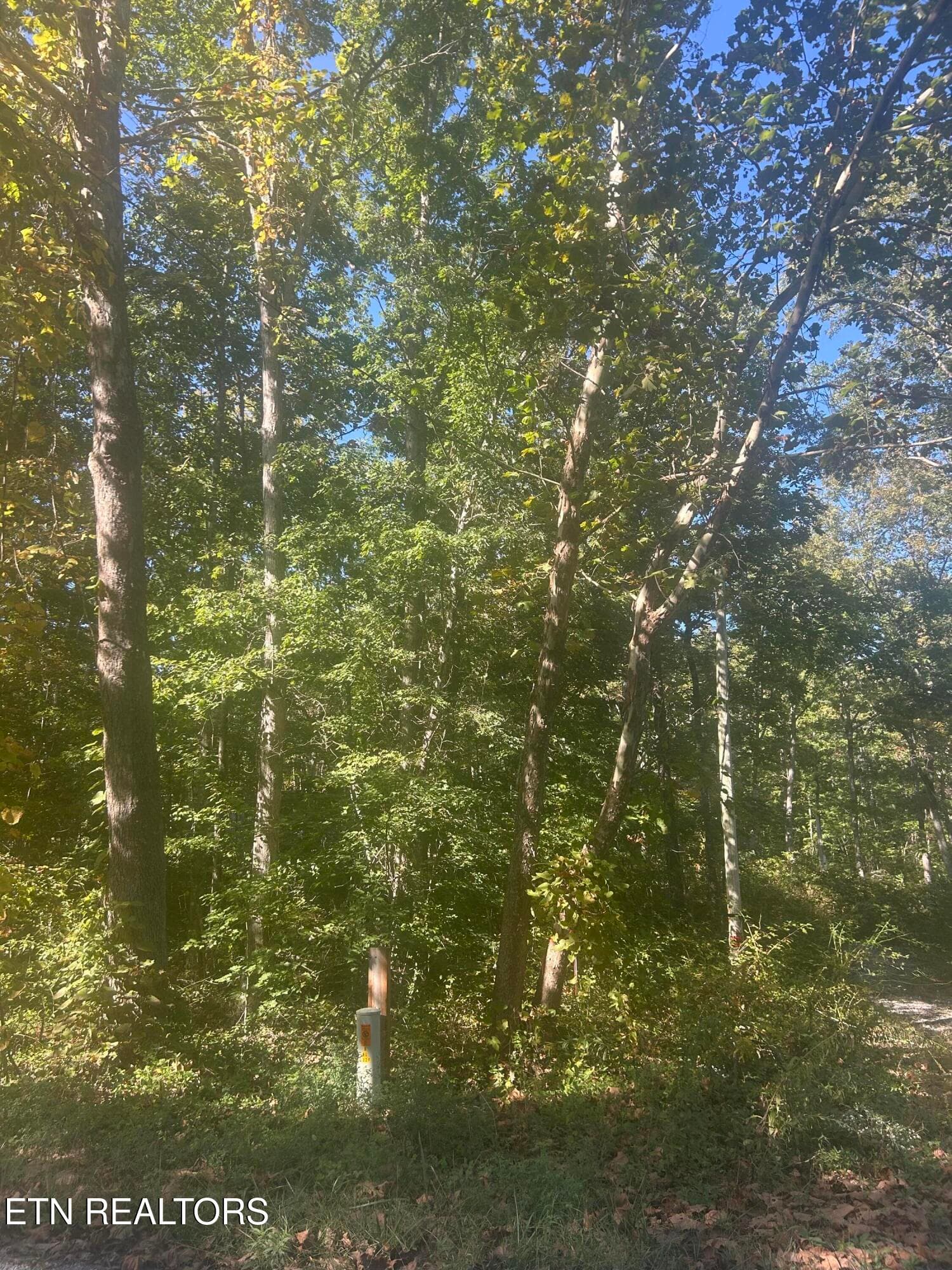 Timothy Drive Lot 243, Crossville, TN 38572