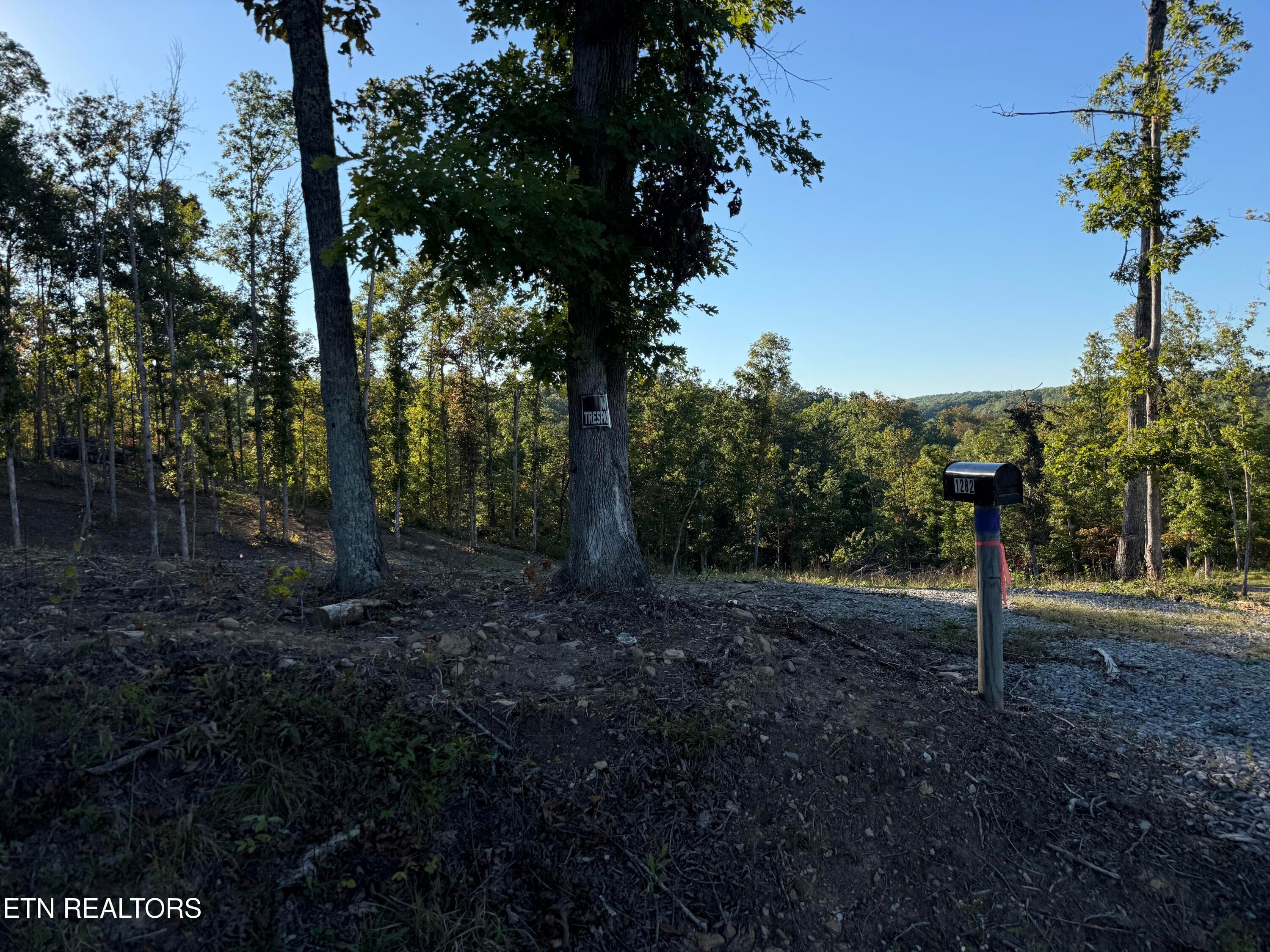 IMG_7271 - 1282 Vine Ridge Rd, Wilder, TN 38589, Wilder