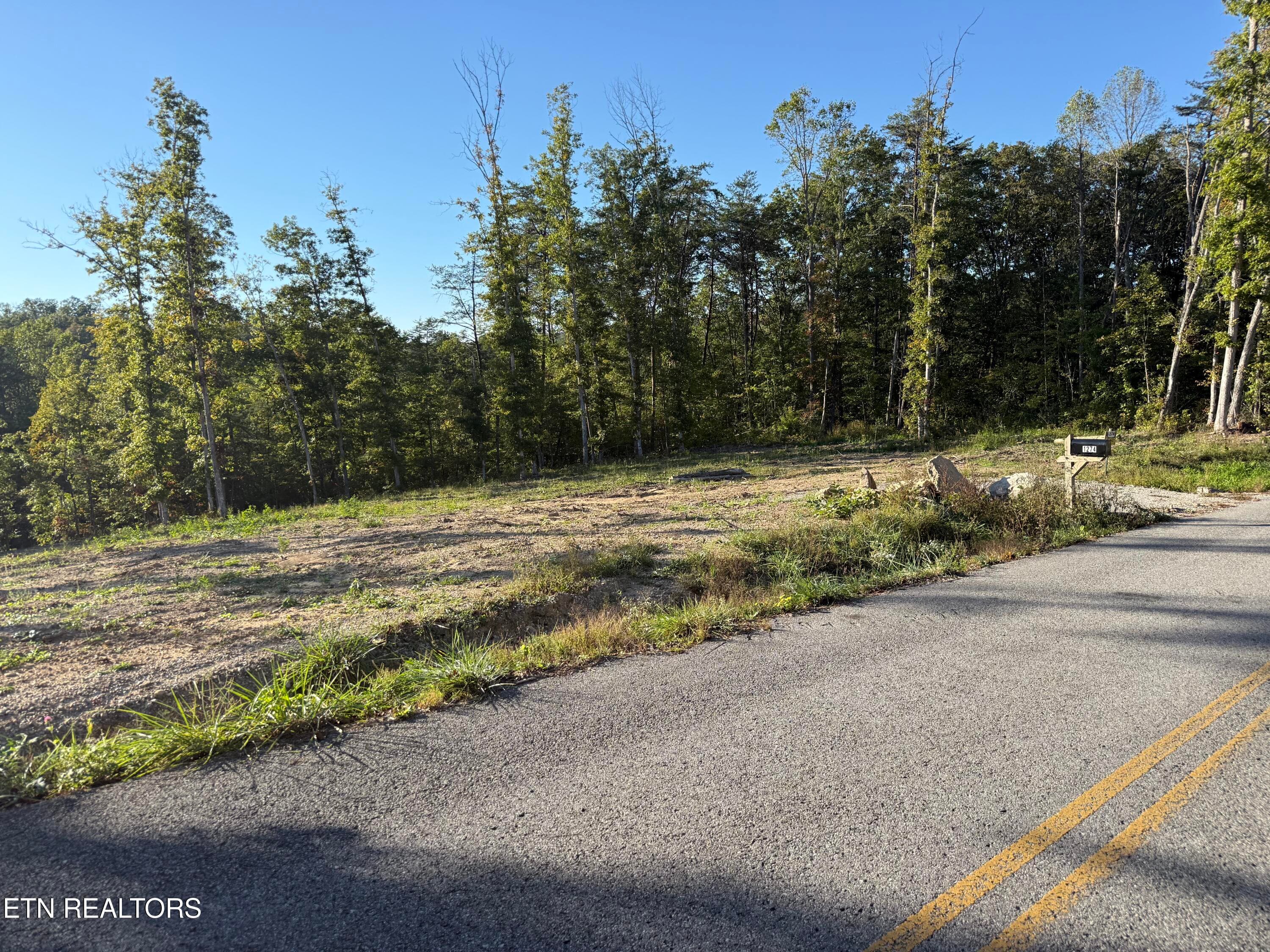 IMG_7274 - 1274 Vine Ridge Rd, Wilder, TN 38589, Wilder