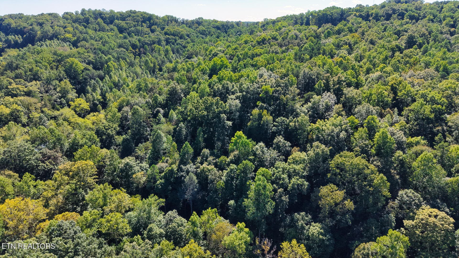 DJI_20260925150035_0044_D - Lot 3 Conner Rd, Powell, TN 37849, Powell
