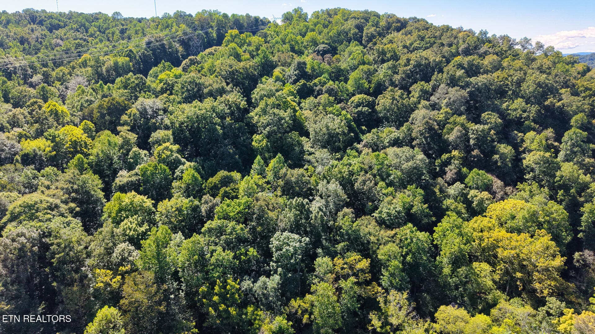 DJI_20260925150102_0051_D - Lot 3 Conner Rd, Powell, TN 37849, Powell