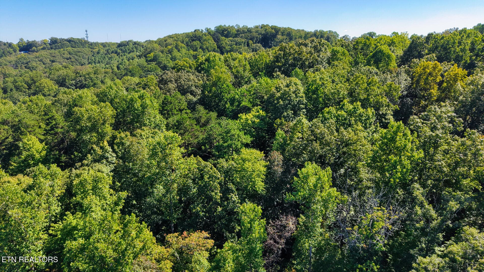 DJI_20260925150217_0066_D - Lot 3 Conner Rd, Powell, TN 37849, Powell