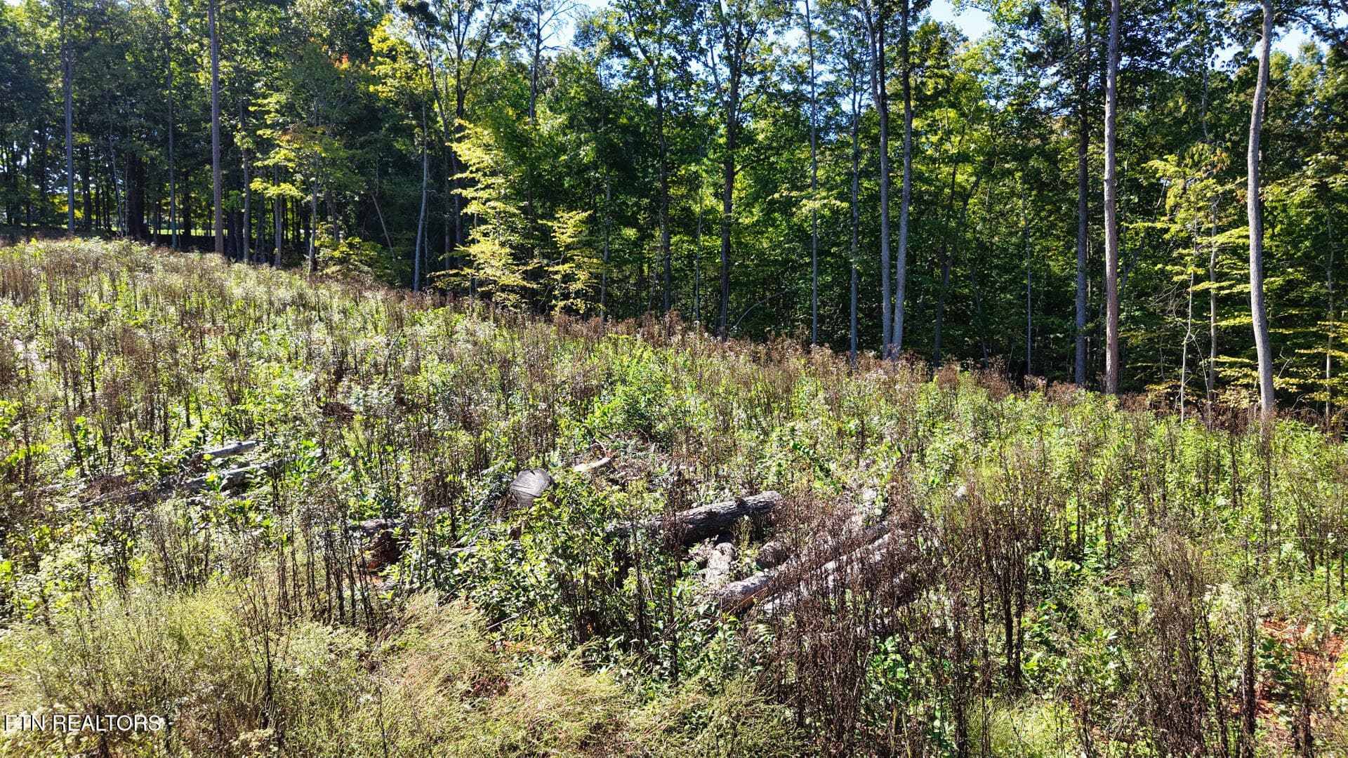 DJI_20260925150512_0080_D - Lot 3 Conner Rd, Powell, TN 37849, Powell