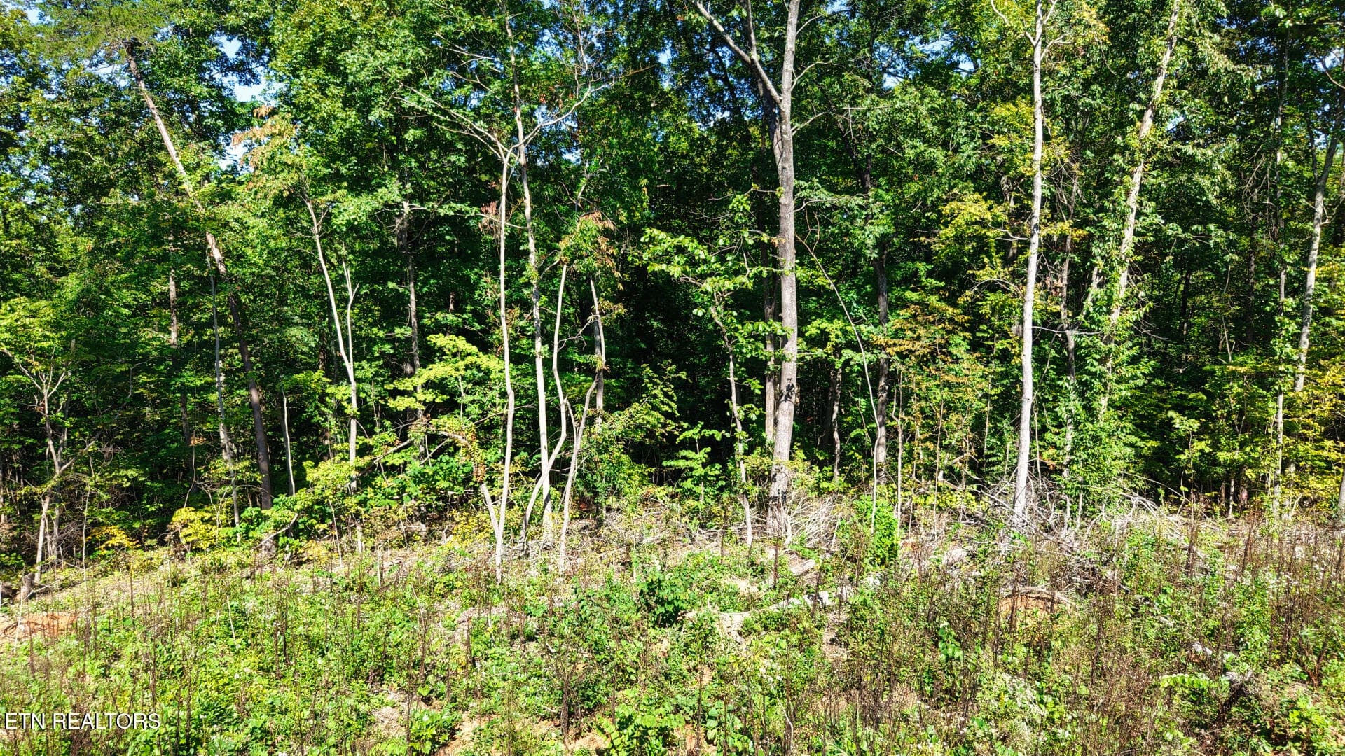 DJI_20260925150520_0083_D - Lot 3 Conner Rd, Powell, TN 37849, Powell