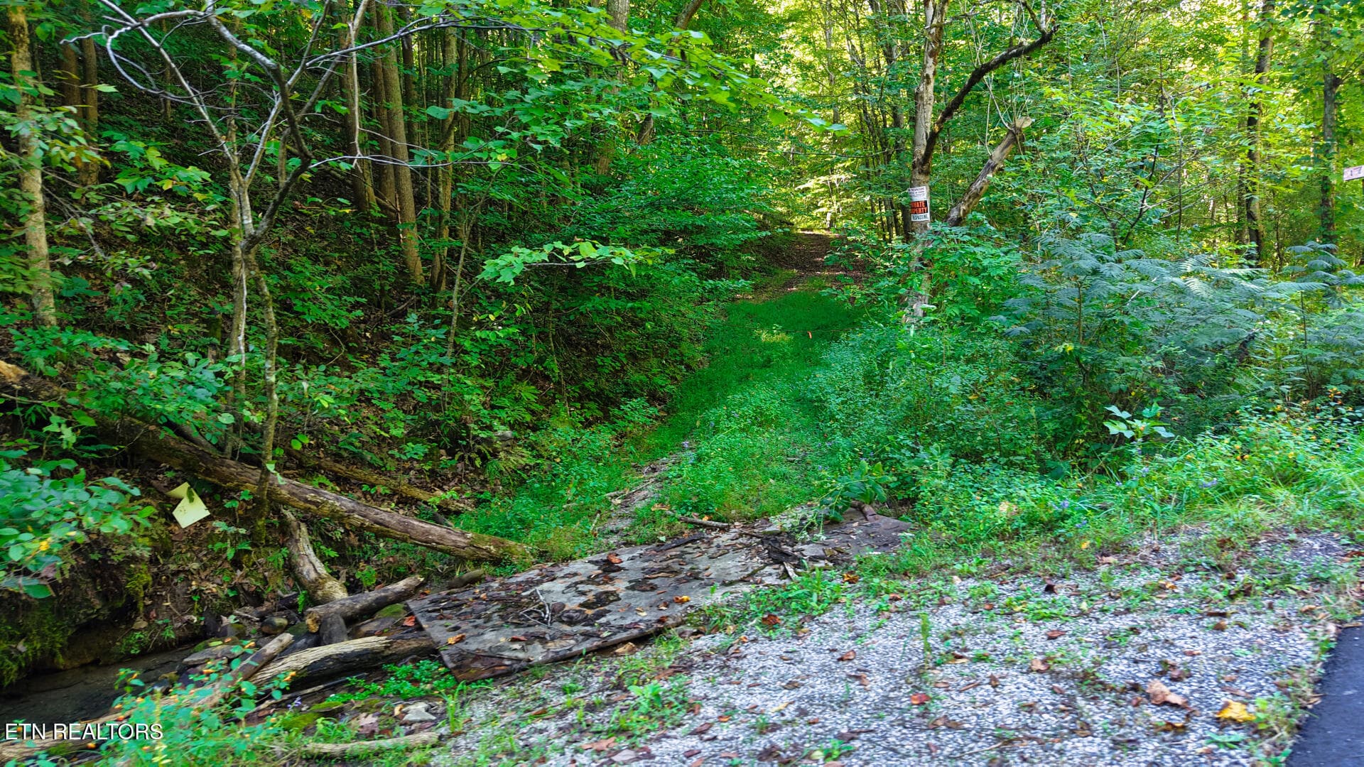 DJI_20260925151716_0120_D - Lot 3 Conner Rd, Powell, TN 37849, Powell
