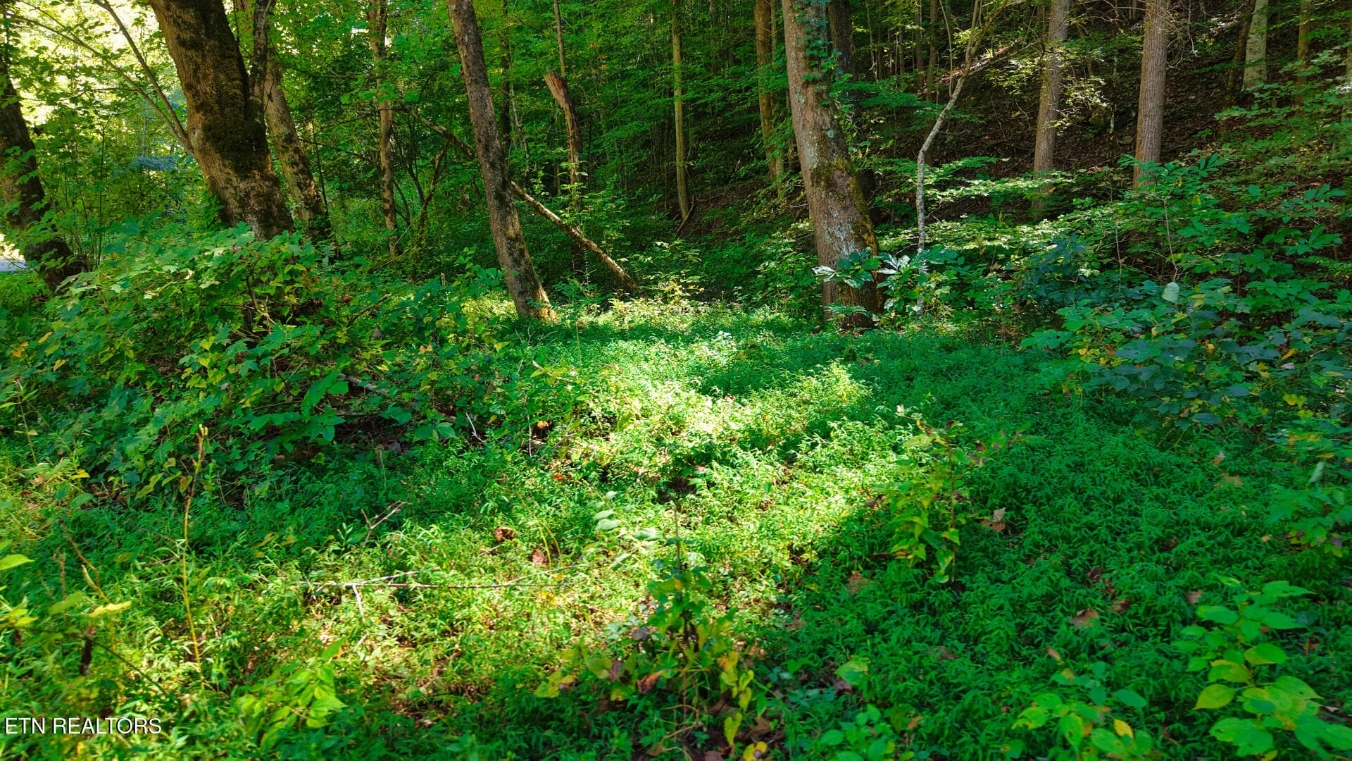 DJI_20260925151938_0134_D - Lot 3 Conner Rd, Powell, TN 37849, Powell
