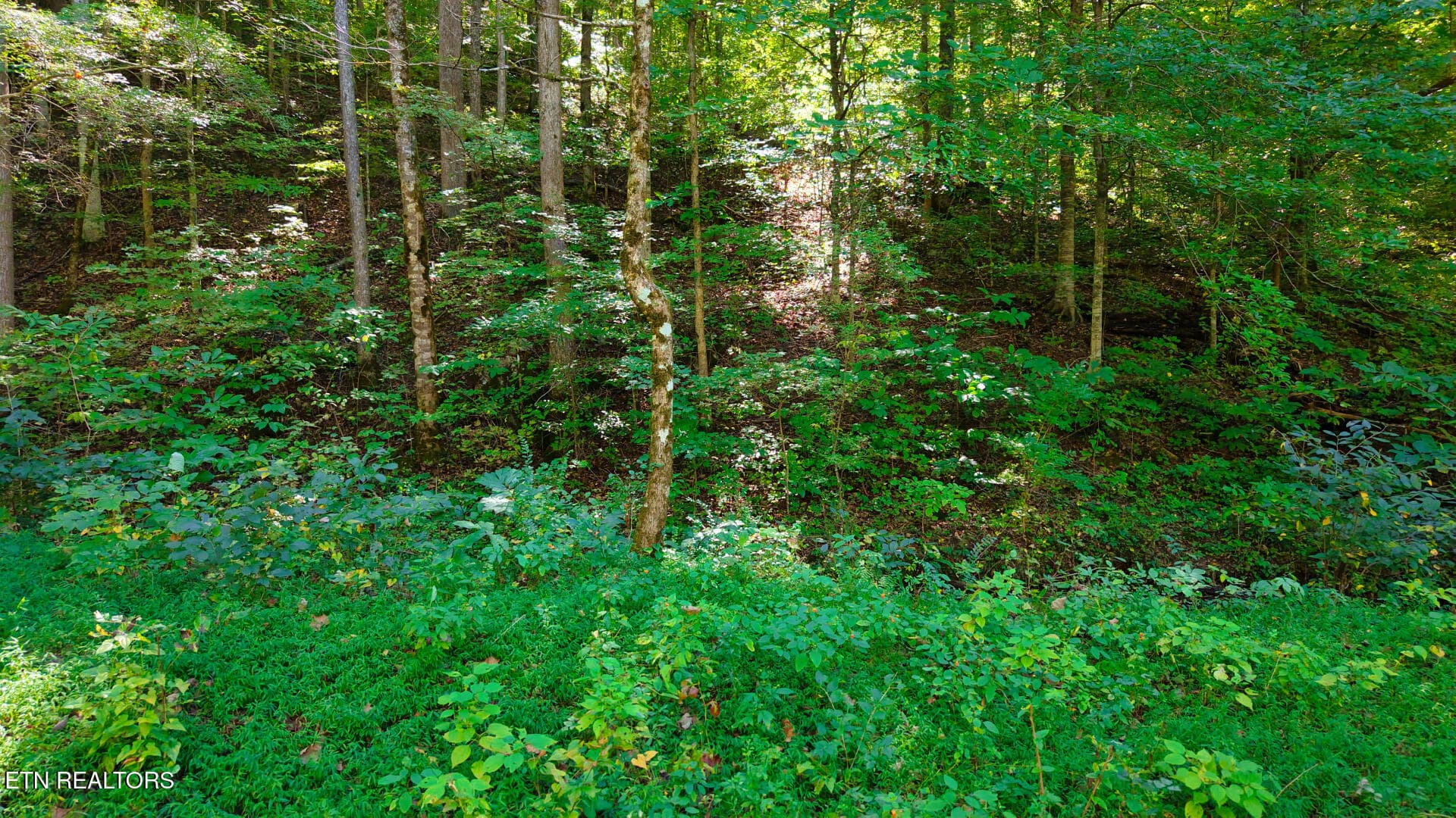 DJI_20260925151942_0136_D - Lot 3 Conner Rd, Powell, TN 37849, Powell