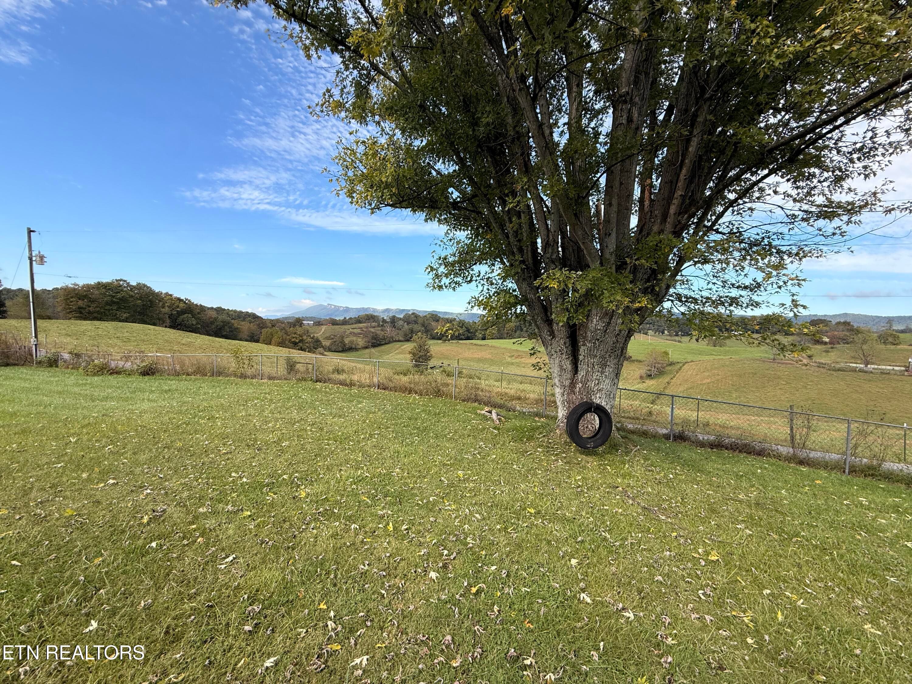 IMG_4904 - 469 Patchwork Rd, Rose Hill, VA 24281