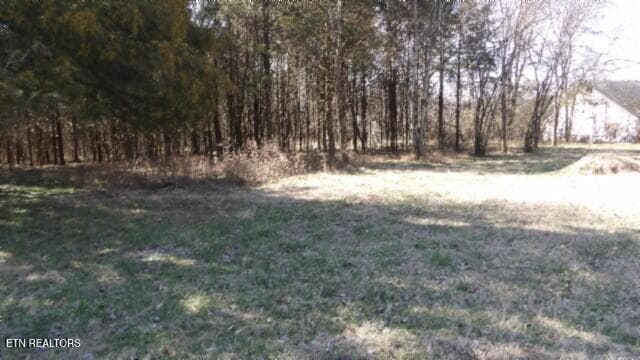 100_0001 - 1586 Needmore Rd, Old Hickory, TN 37138, Old Hickory