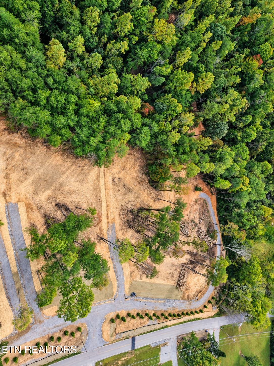 CBA2B762-B34D-4982-850B-8850590F2F8E - 1182 Tarklin Valley Rd, Knoxville, TN 37924, Knoxville