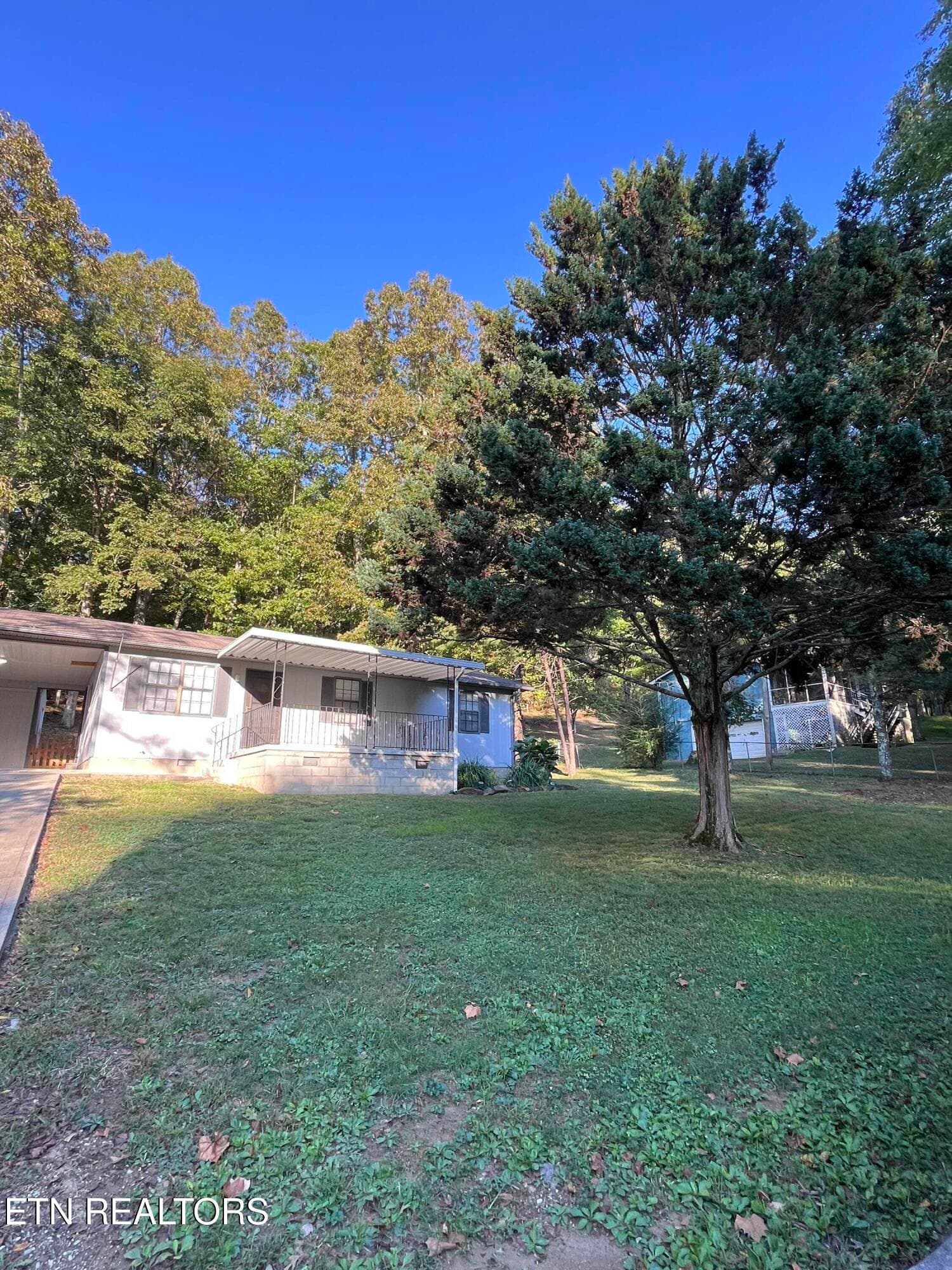 IMG_8846 - 155 Delozier Lane, Rockwood, TN 37854, Rockwood