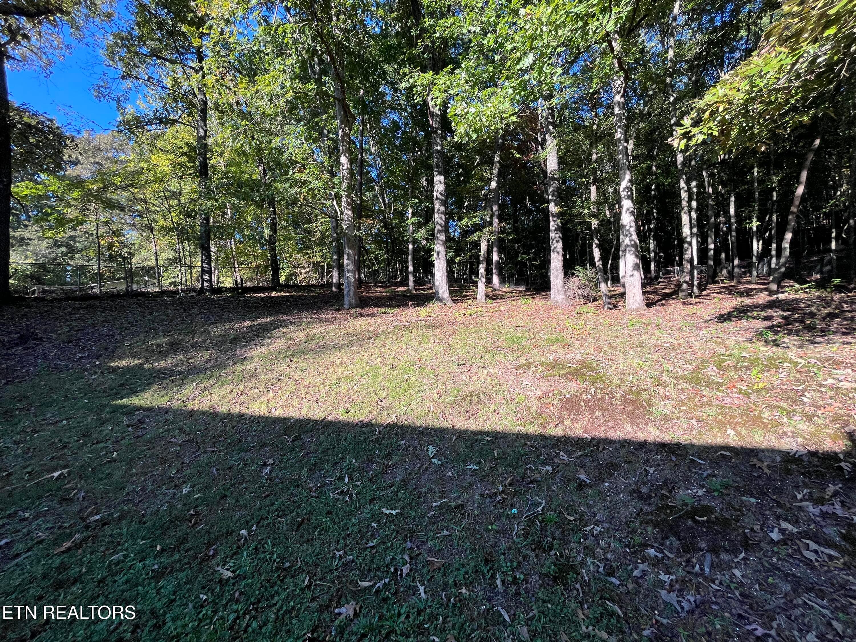 IMG_8818 - 155 Delozier Lane, Rockwood, TN 37854, Rockwood