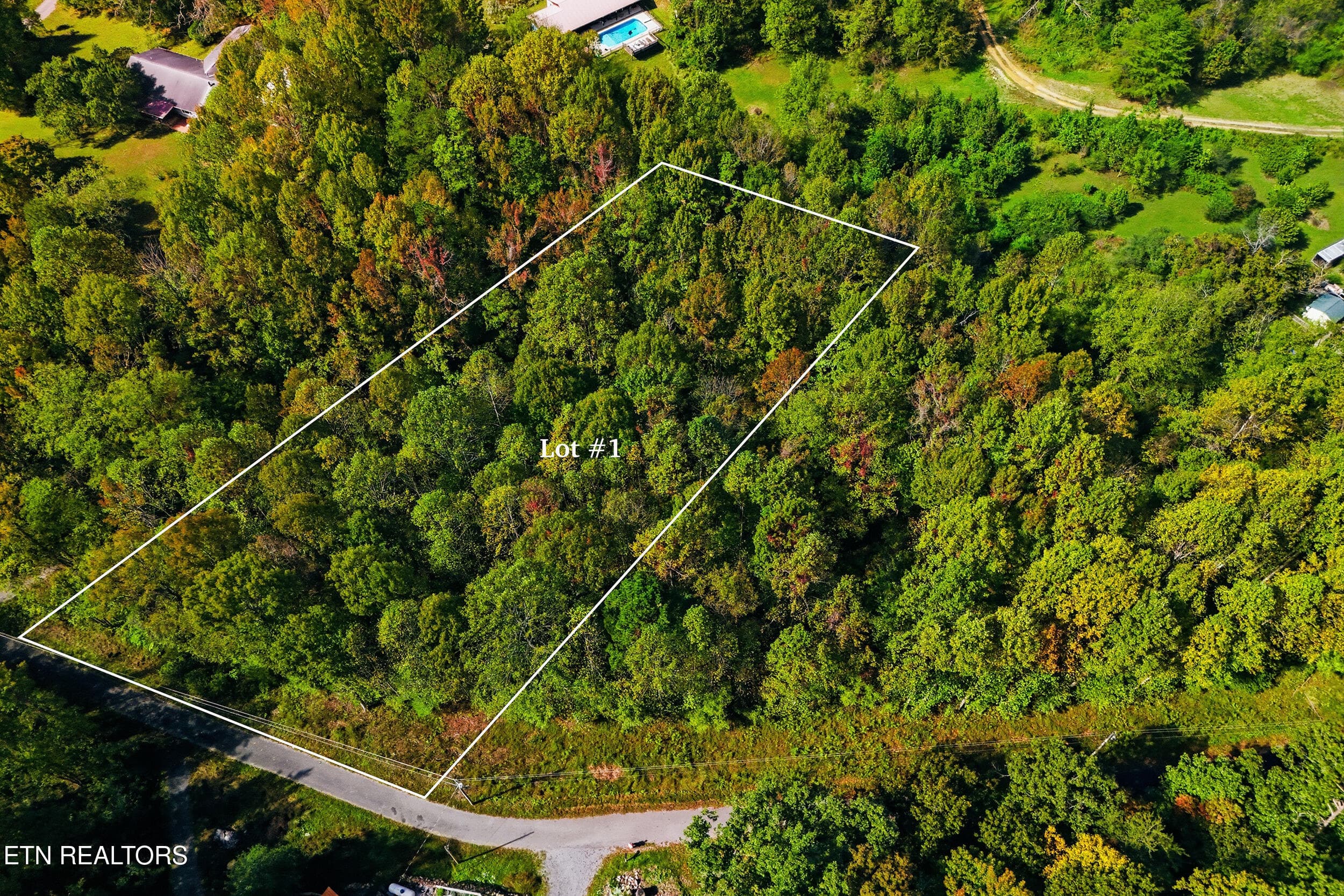 Lot 1 Timber Lake Drive, Cosby, TN 37722