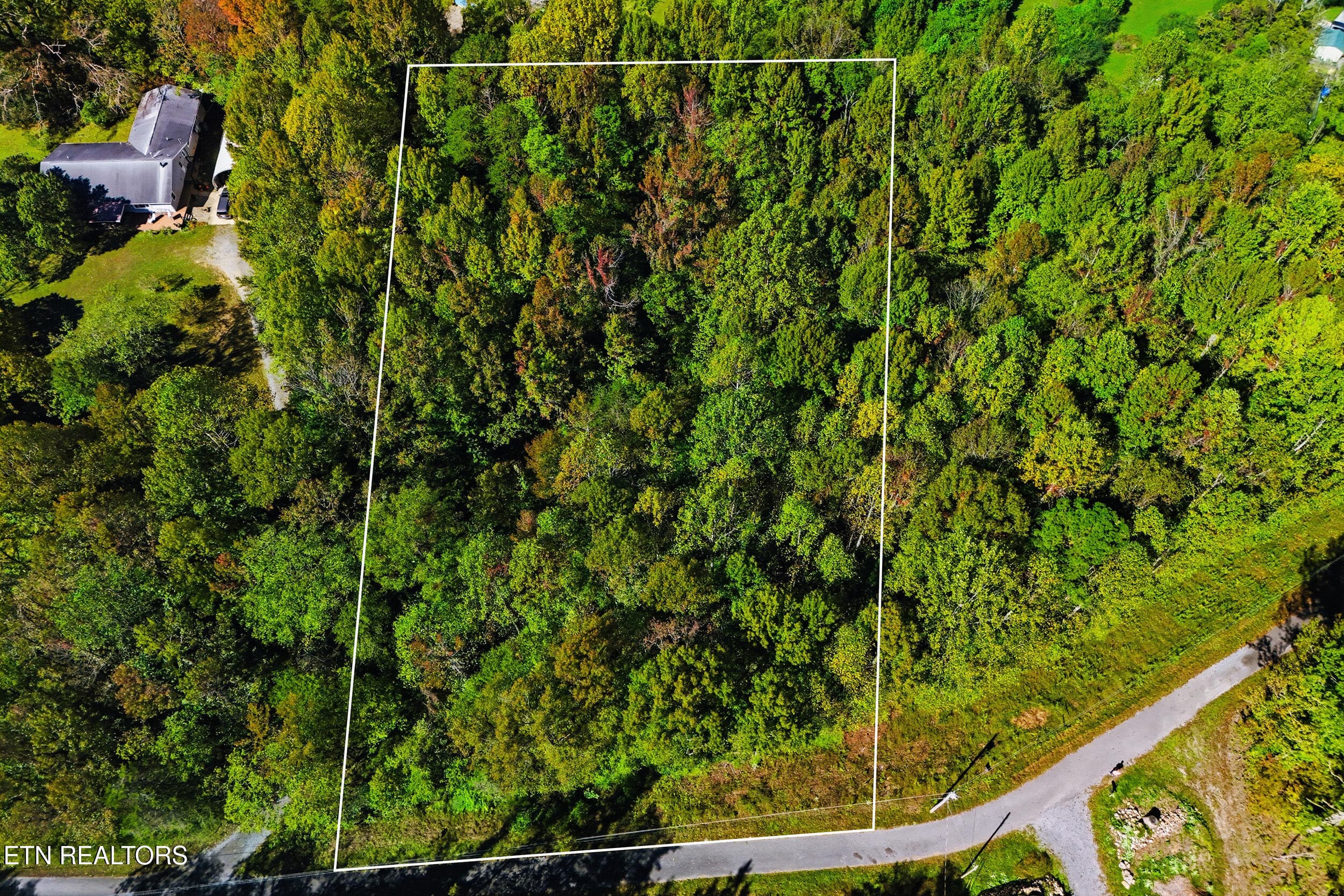 Drone pic - Lot 1 Timber Lake Drive, Cosby, TN 37722, Cosby