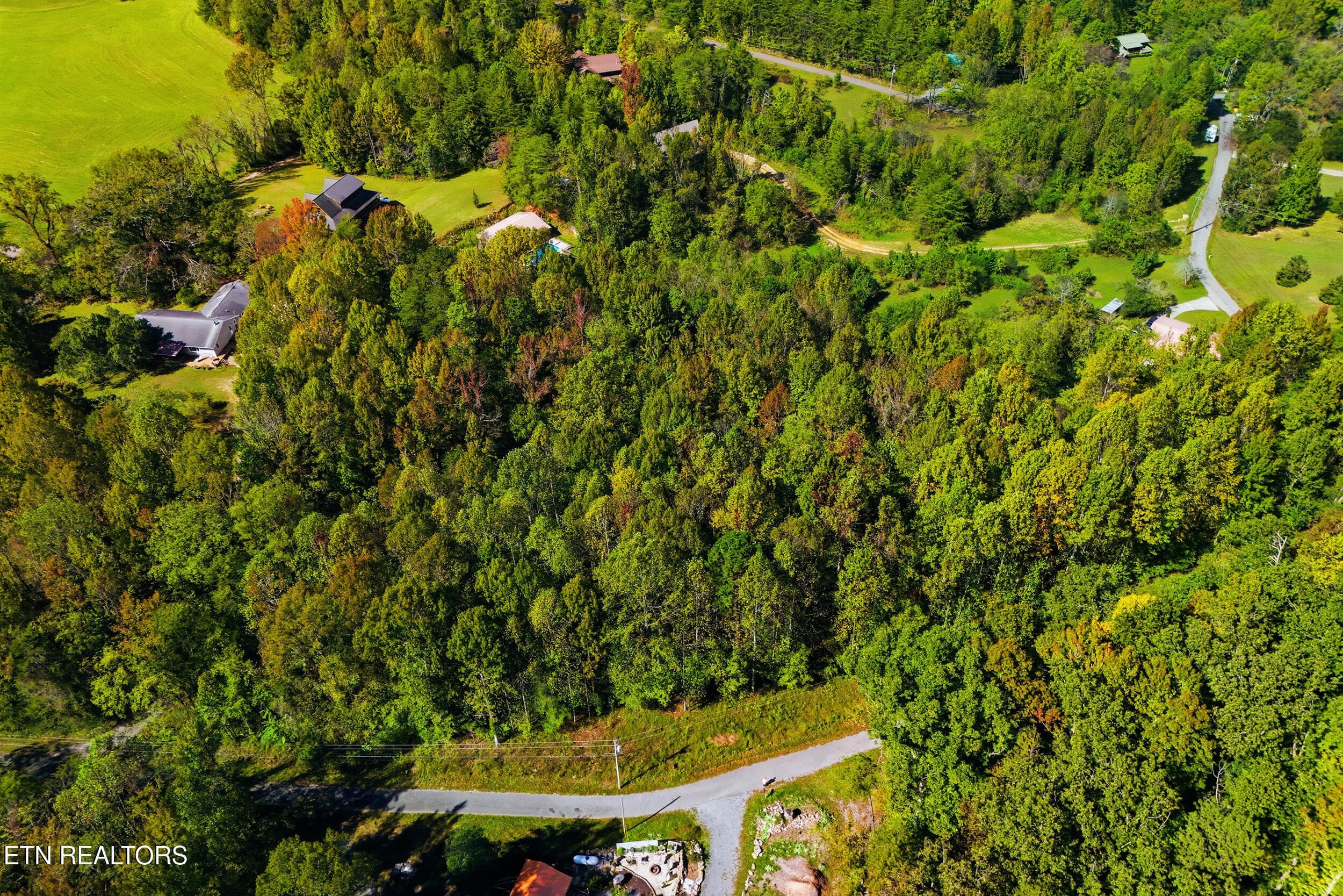 Drone pic - Lot 1 Timber Lake Drive, Cosby, TN 37722, Cosby