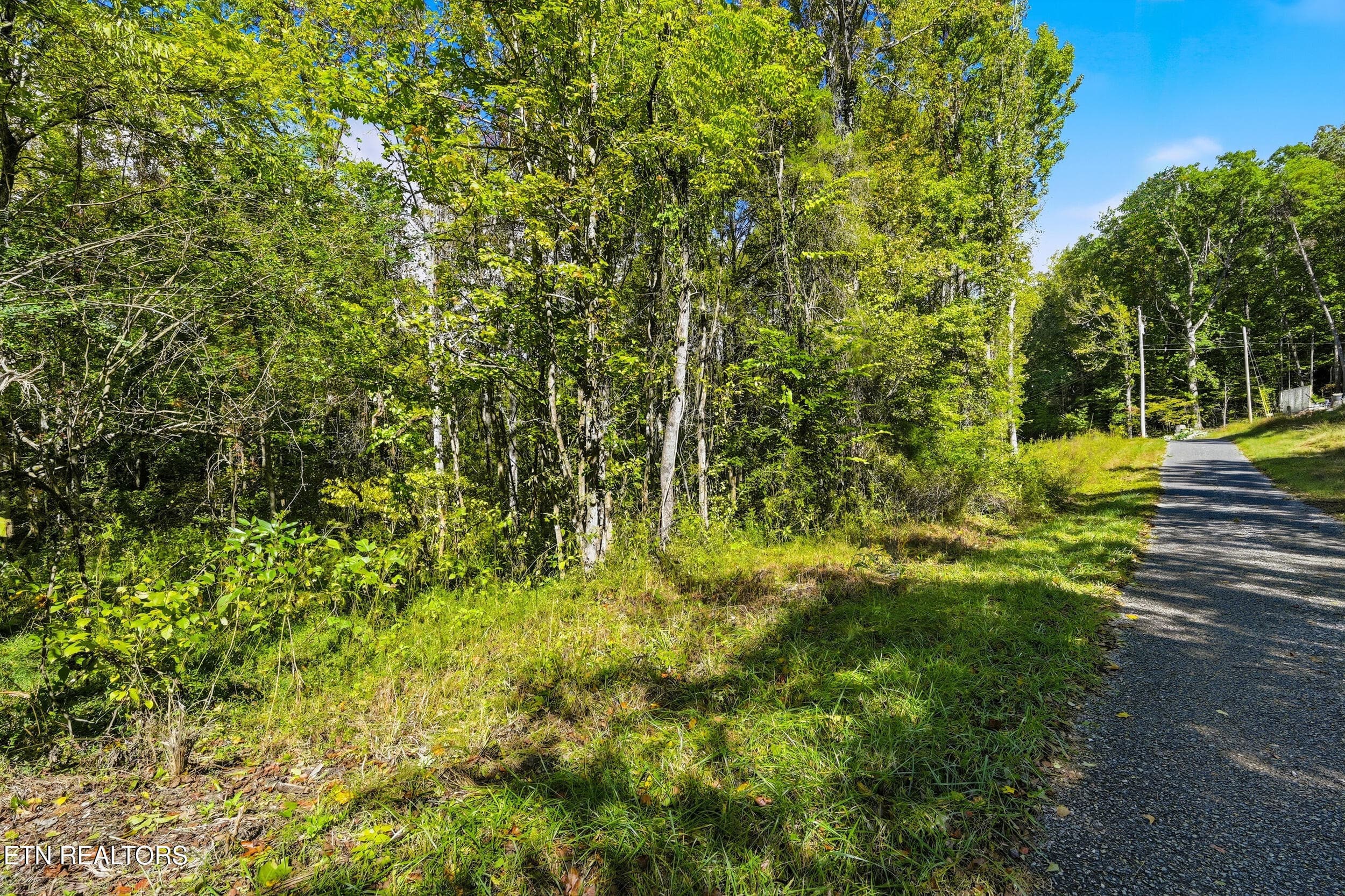 Land pic - Lot 1 Timber Lake Drive, Cosby, TN 37722, Cosby