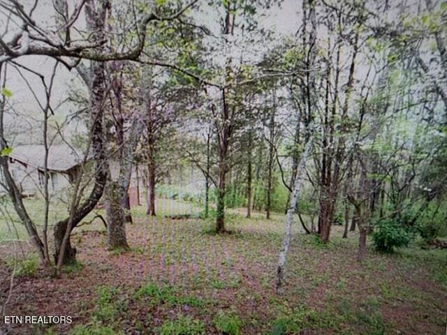2_beyc6acbf7855fcb9 - 7544 Glastonbury Rd, Knoxville, TN 37931, Knoxville