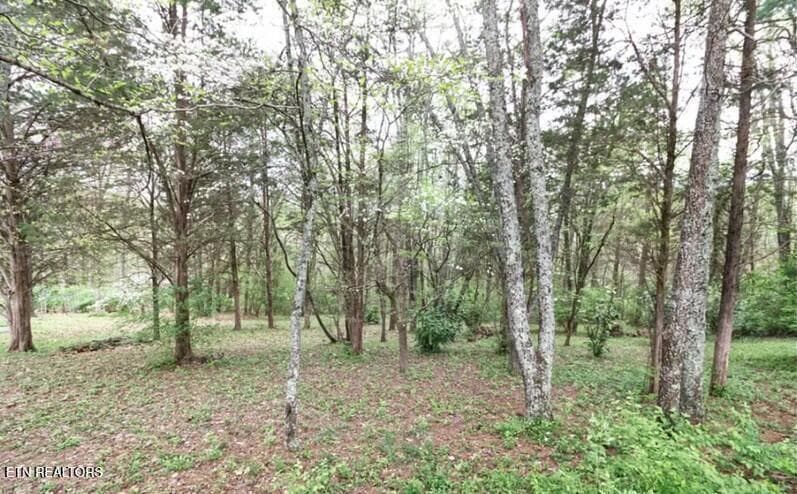 3_beyc6acd96303e014 - 7544 Glastonbury Rd, Knoxville, TN 37931, Knoxville