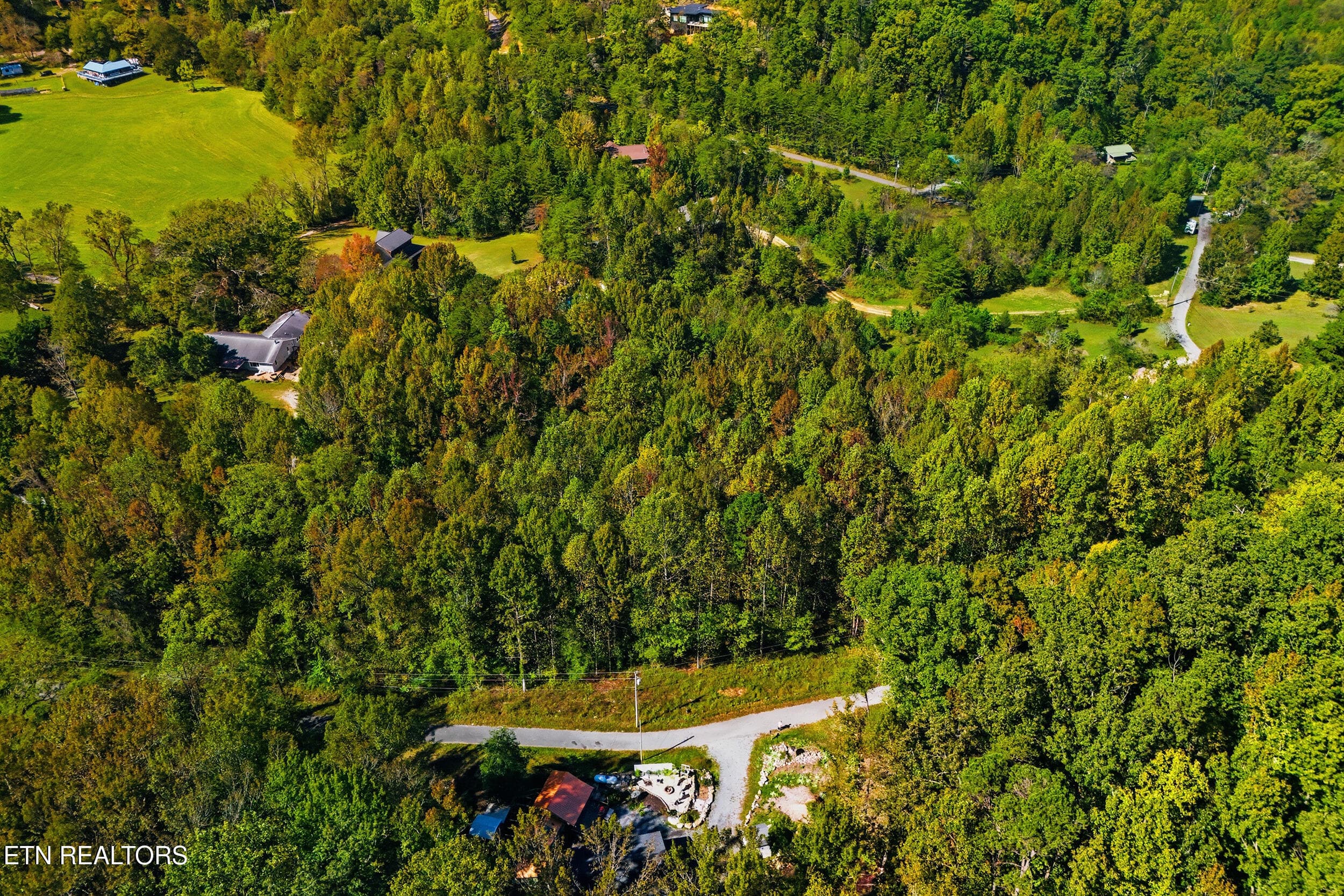 Drone pic - Lot 2 Timber Lake Drive, Cosby, TN 37722, Cosby