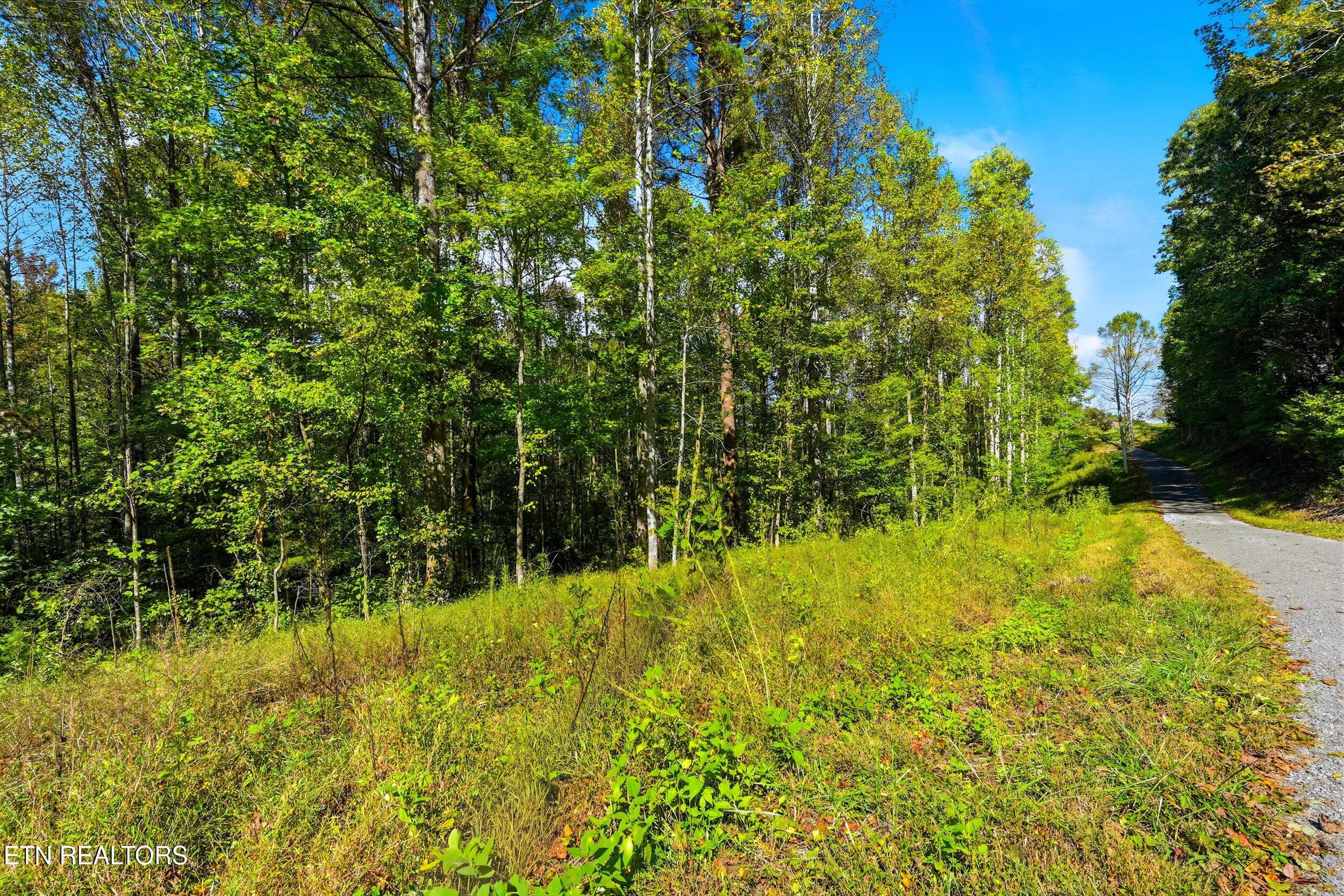 Land pic - Lot 2 Timber Lake Drive, Cosby, TN 37722, Cosby