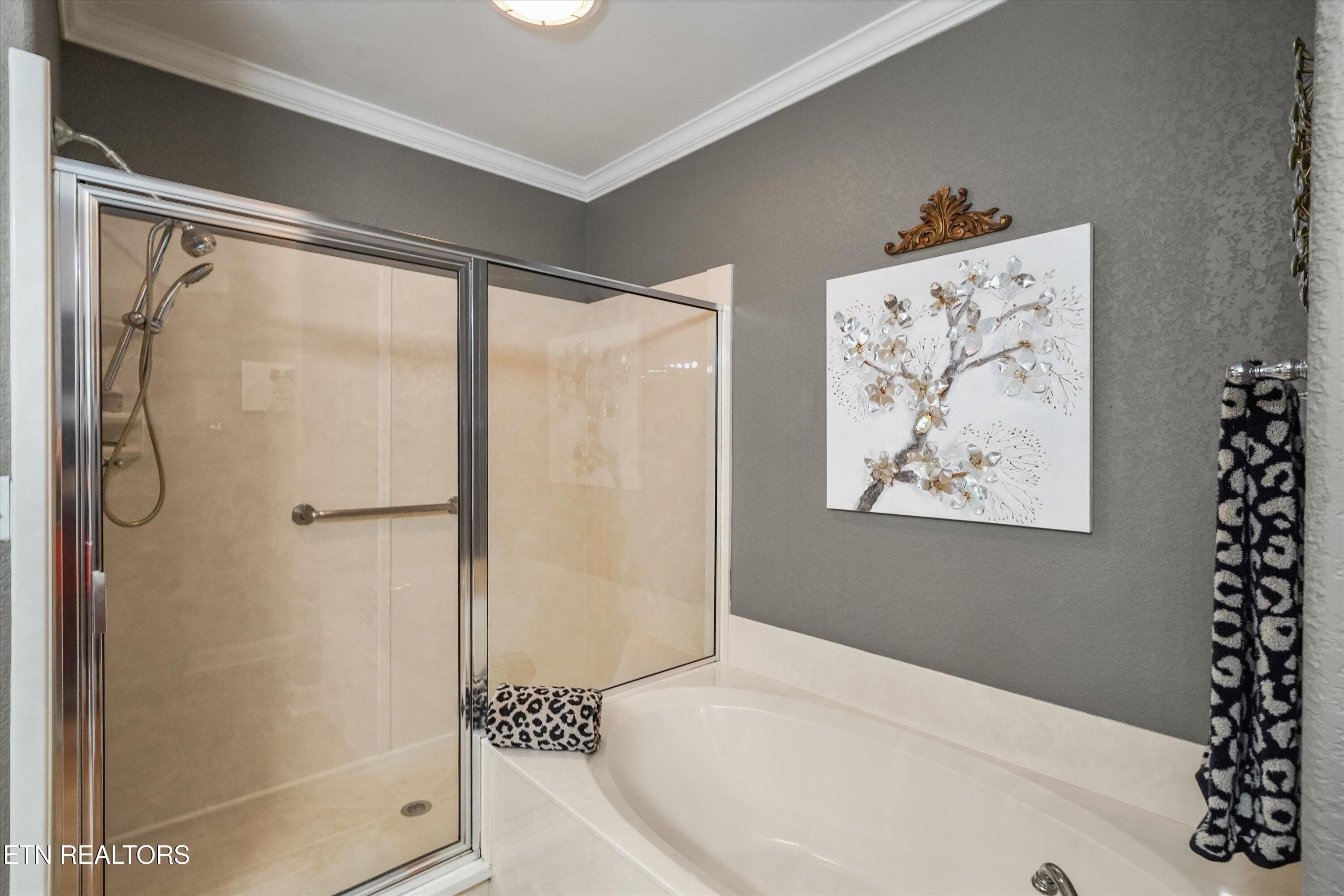 Massive Walk-in Shower & Soaker Tub - 10107 Autumn Valley Lane, Knoxville, TN 37922, Knoxville