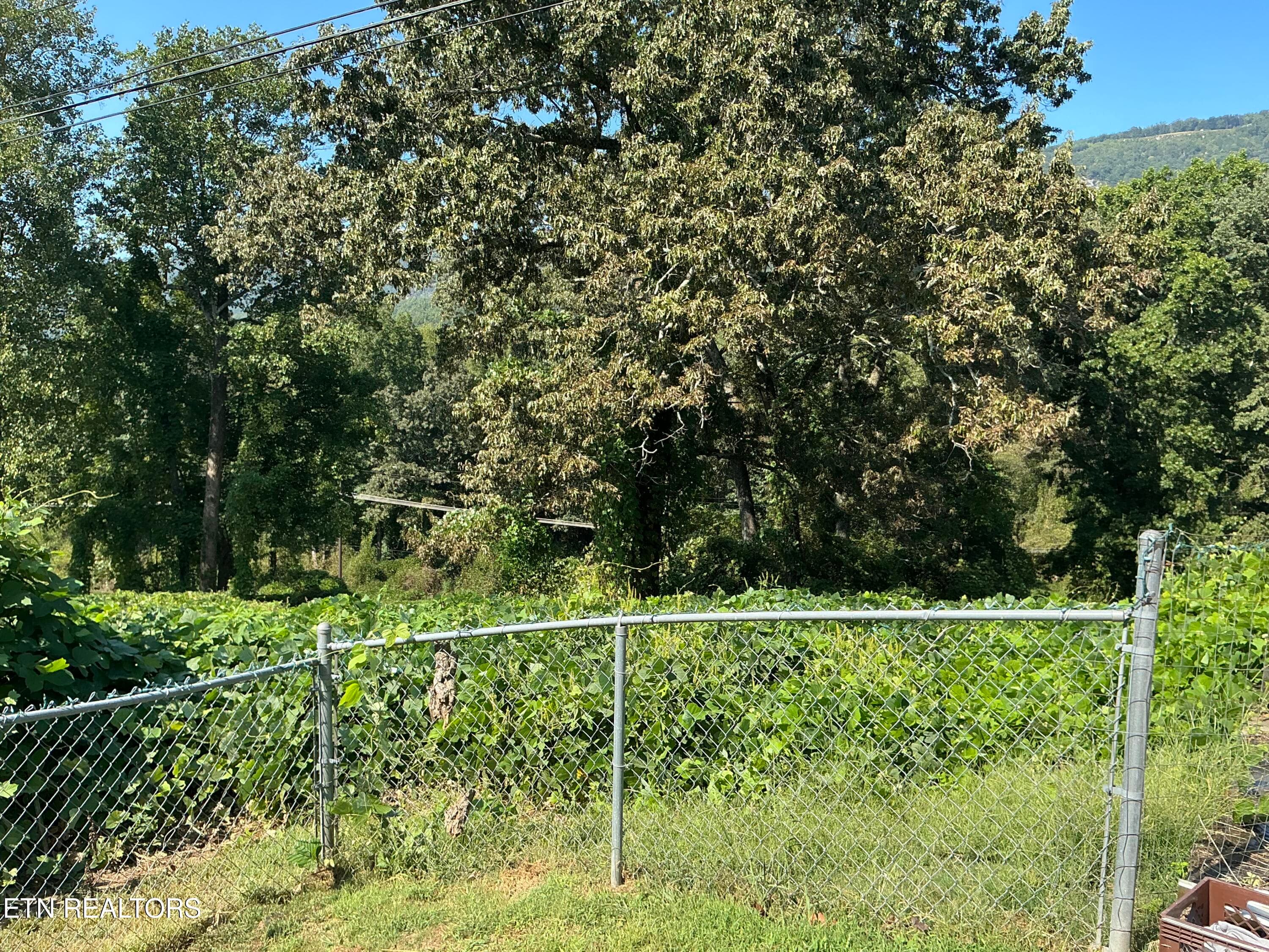 IMG_0497 - 287. S Oak St, Whitwell, TN 37397, Whitwell