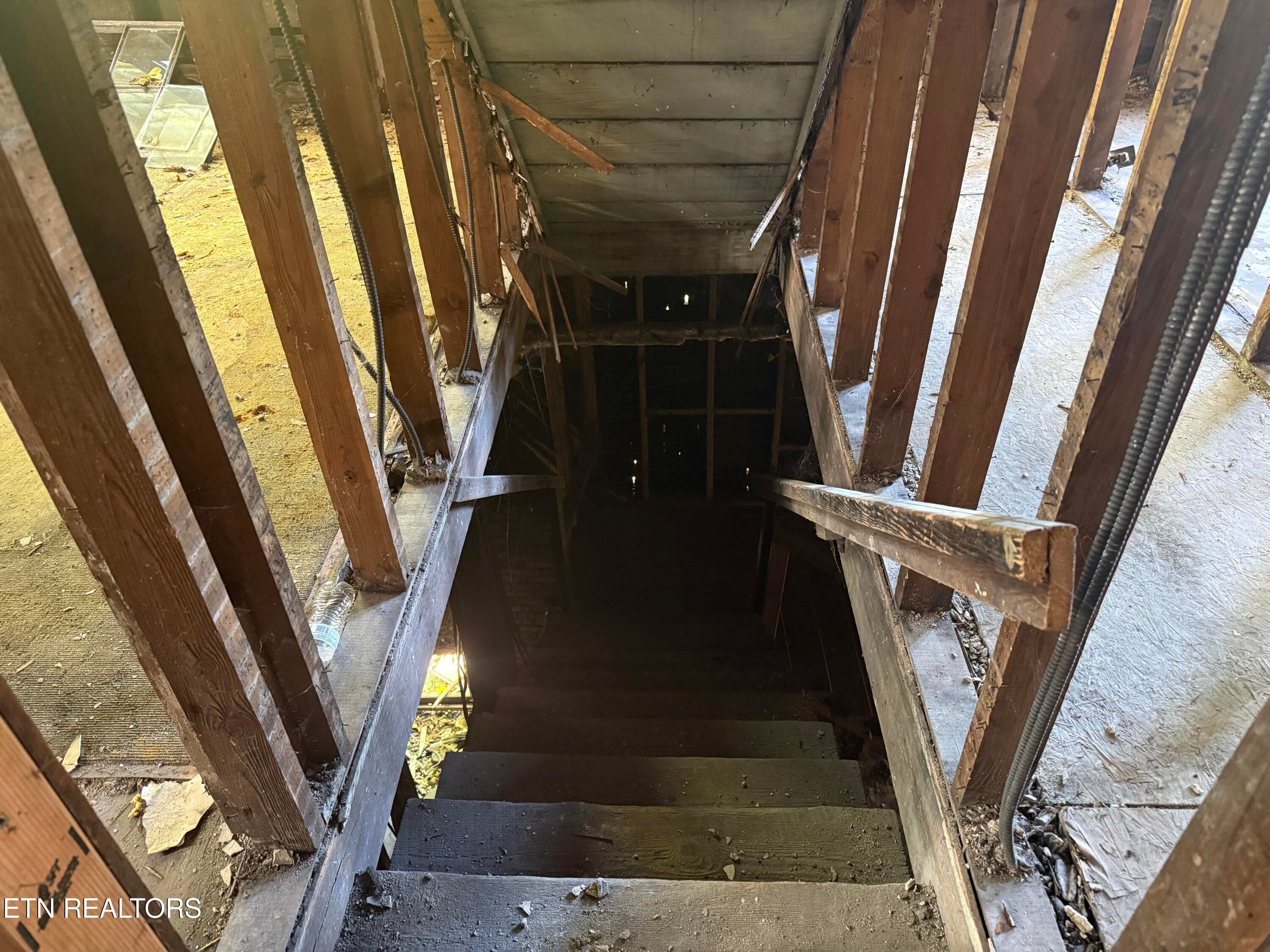 Basement - 2534 Parkview Ave, Knoxville, TN 37914, Knoxville