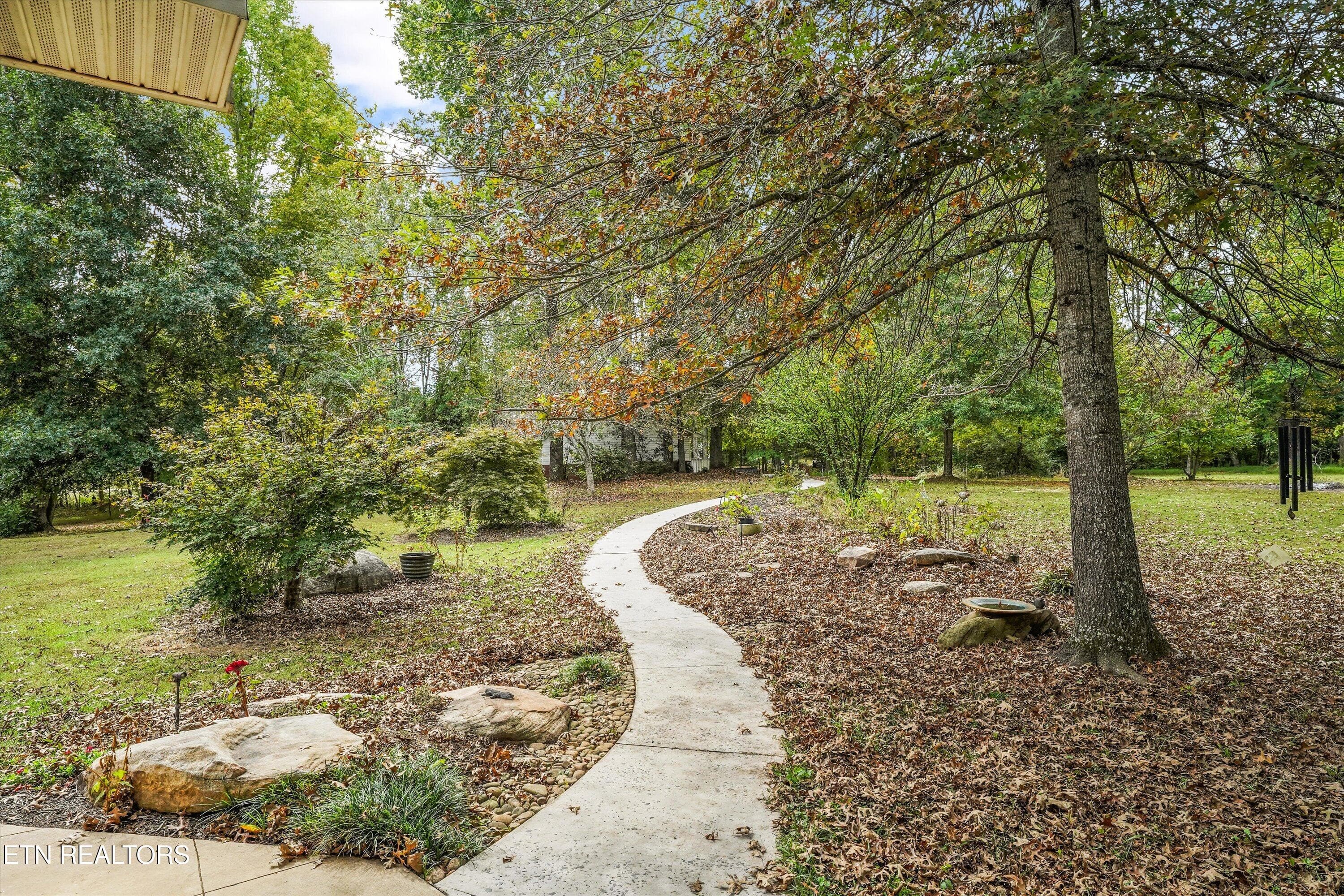 Backyard - 112 County Road 545, Englewood, TN 37329, Englewood