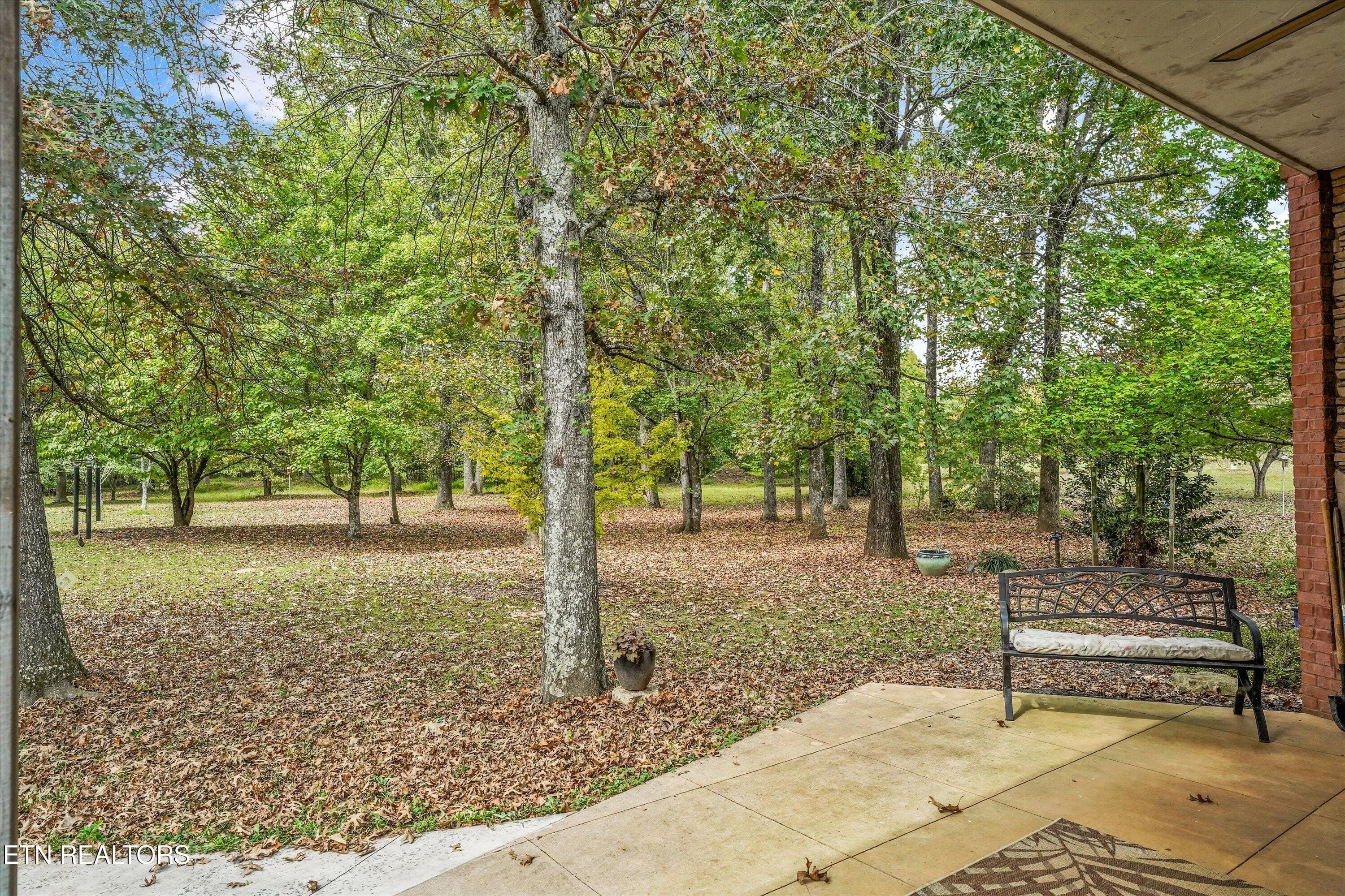 Backyard - 112 County Road 545, Englewood, TN 37329, Englewood