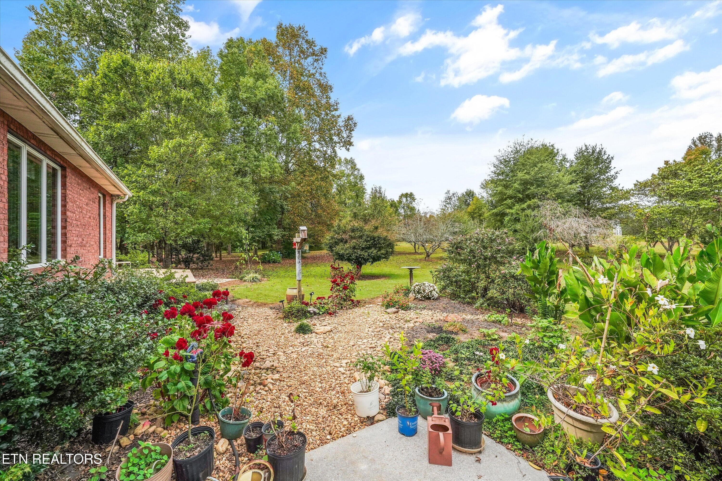 Backyard - 112 County Road 545, Englewood, TN 37329, Englewood