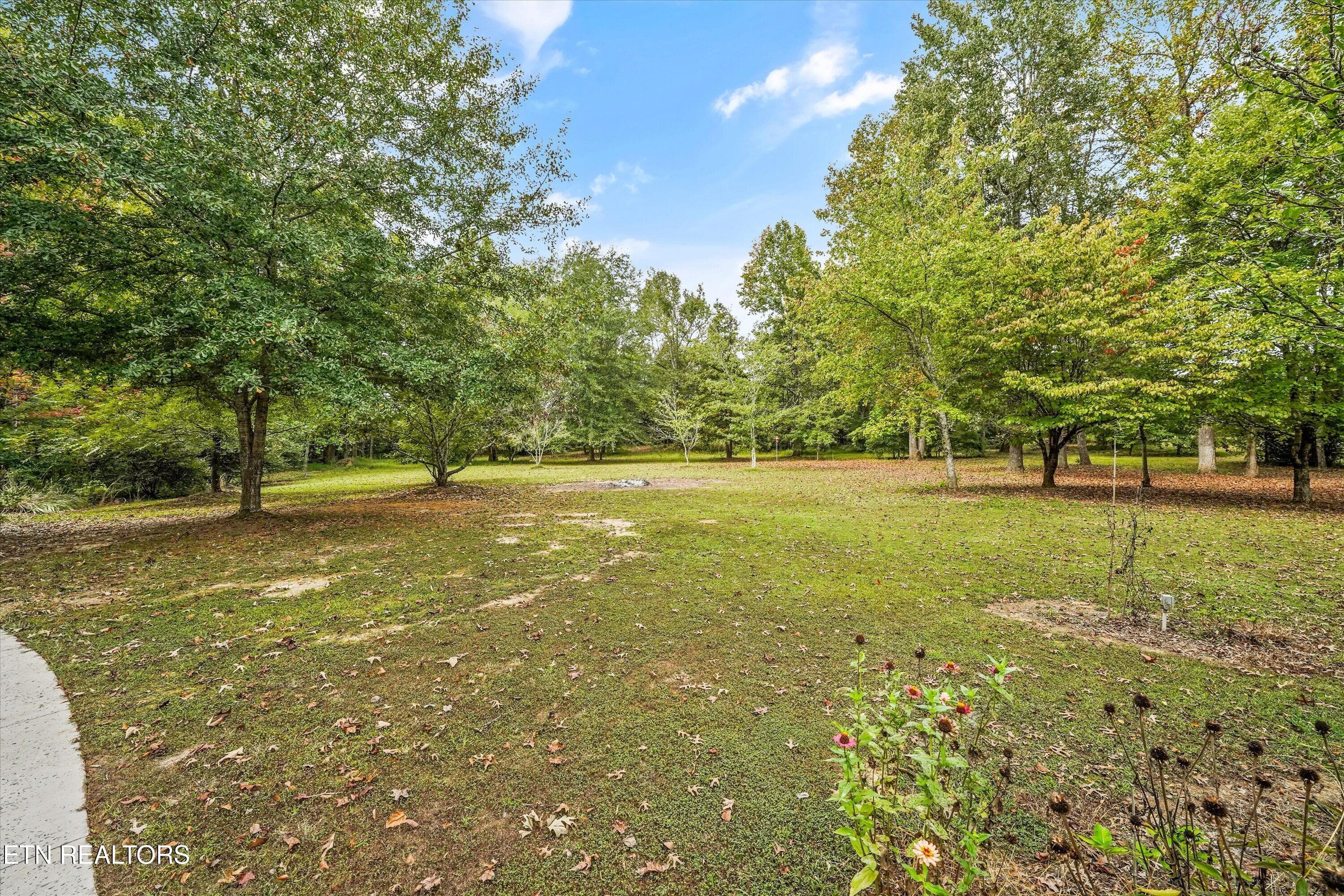 Backyard - 112 County Road 545, Englewood, TN 37329, Englewood