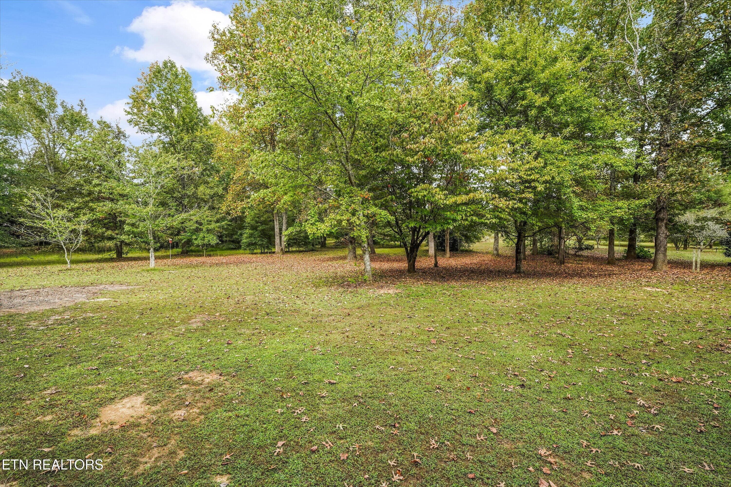 Backyard - 112 County Road 545, Englewood, TN 37329, Englewood