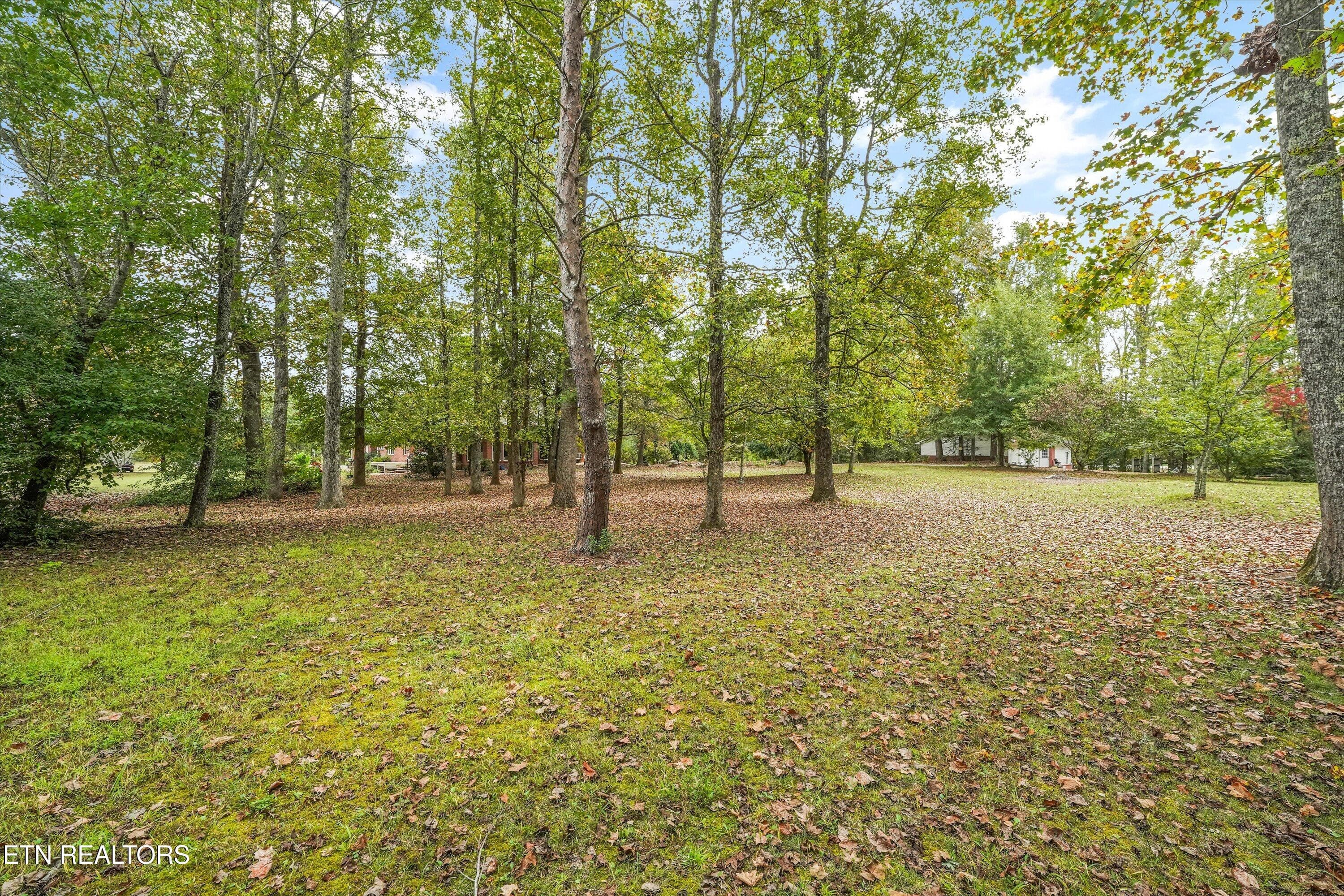 Backyard - 112 County Road 545, Englewood, TN 37329, Englewood