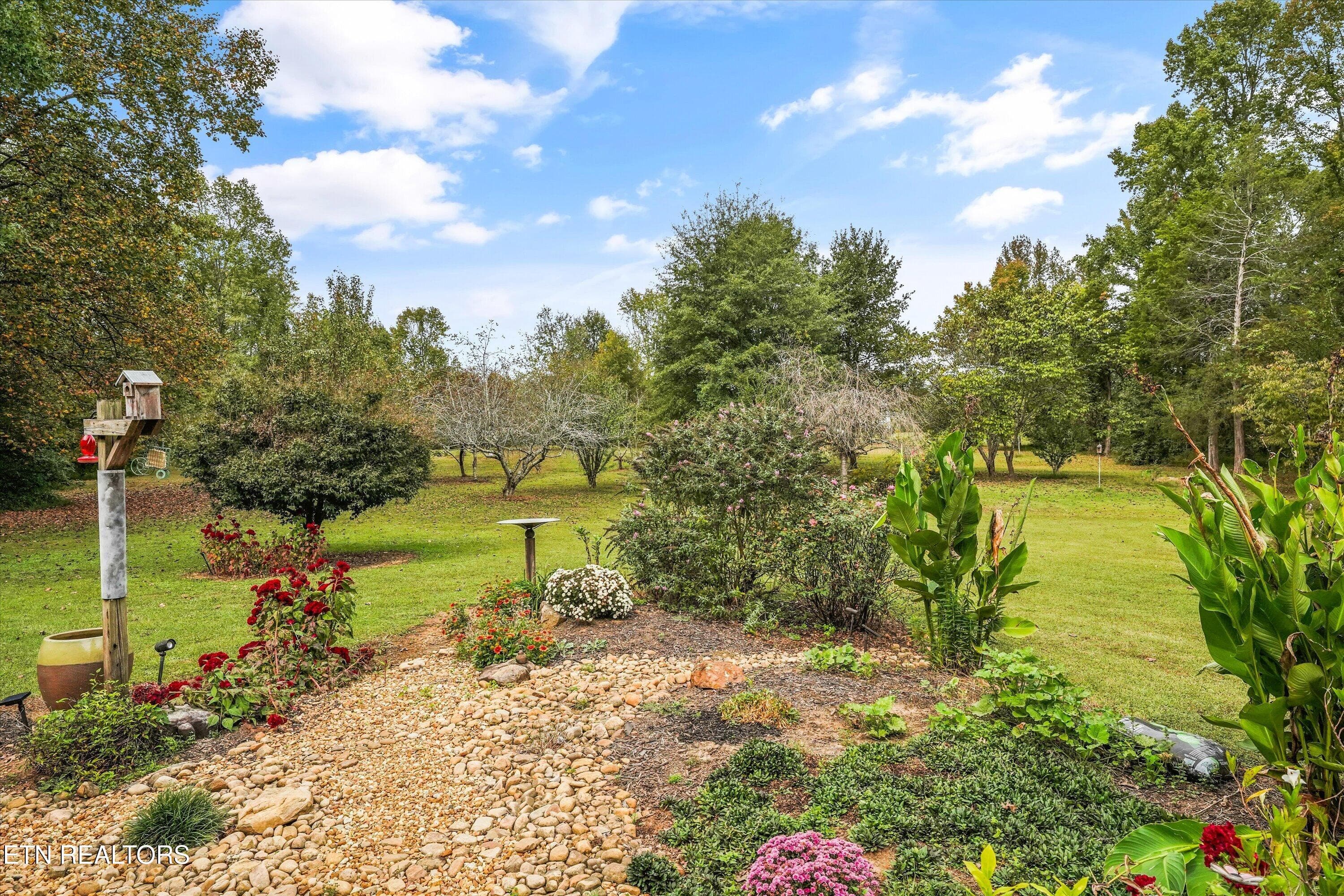 Backyard - 112 County Road 545, Englewood, TN 37329, Englewood
