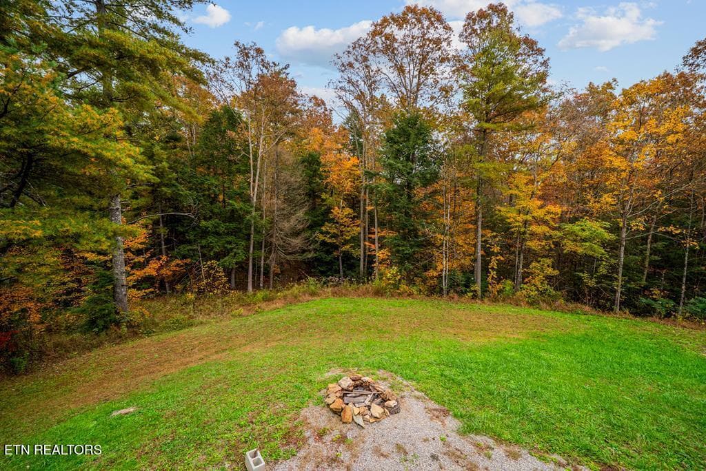 236362_22 - 70 Gum Branch Rd, Jamestown, TN 38556, Jamestown