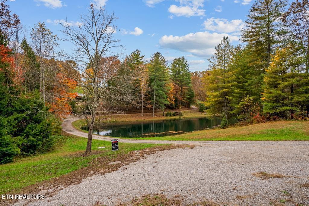 236362_23 - 70 Gum Branch Rd, Jamestown, TN 38556, Jamestown