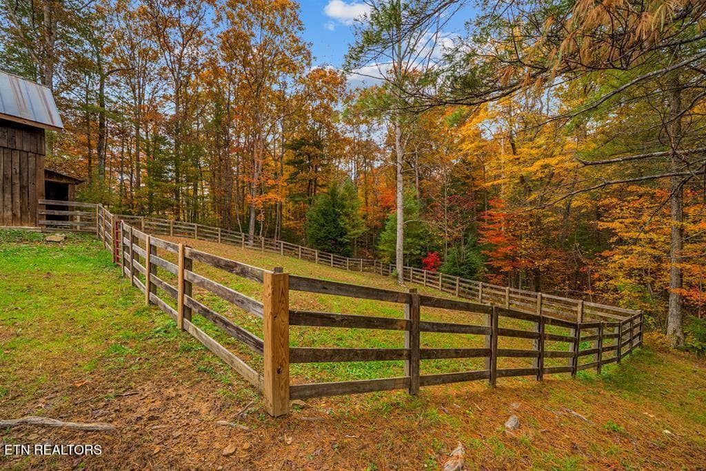 236362_29 - 70 Gum Branch Rd, Jamestown, TN 38556, Jamestown