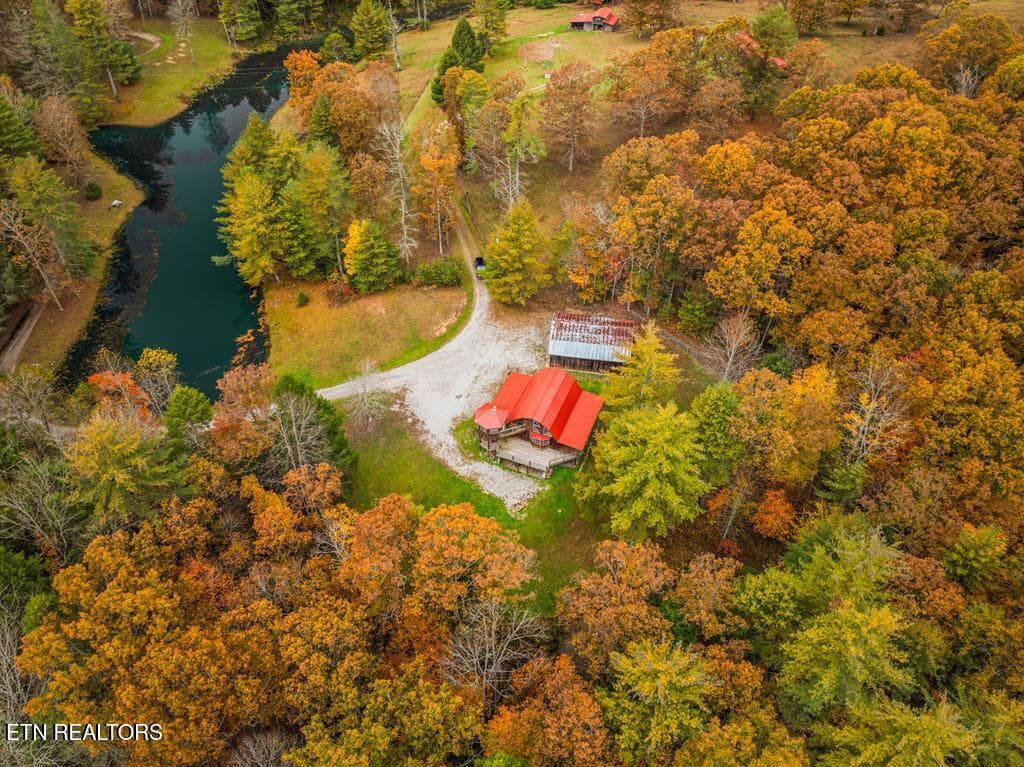 236362_39 - 70 Gum Branch Rd, Jamestown, TN 38556, Jamestown
