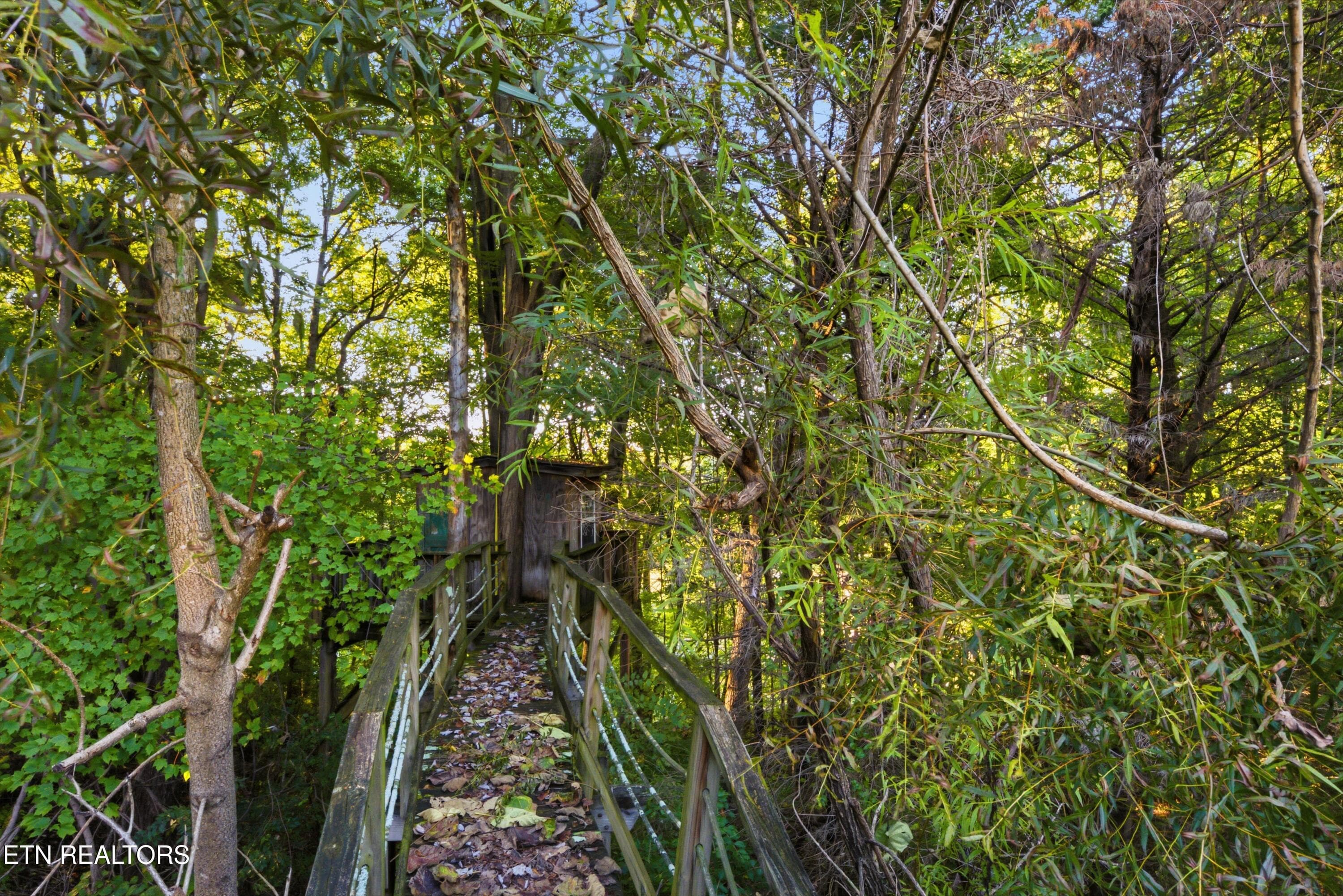 43-print-5641_Summitridge_Ln_Knoxville_T - 5641 Summitridge Lane, Knoxville, TN 37921, Knoxville