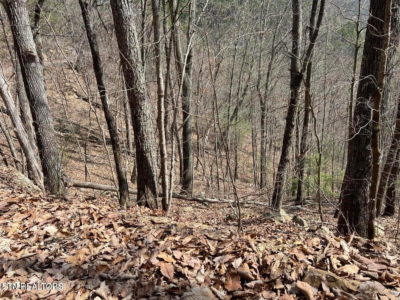 AT8 - Aintree Drive 26, Sevierville, TN 37876