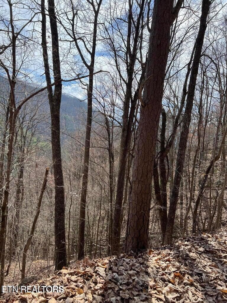 AT7 - Aintree Drive 26, Sevierville, TN 37876