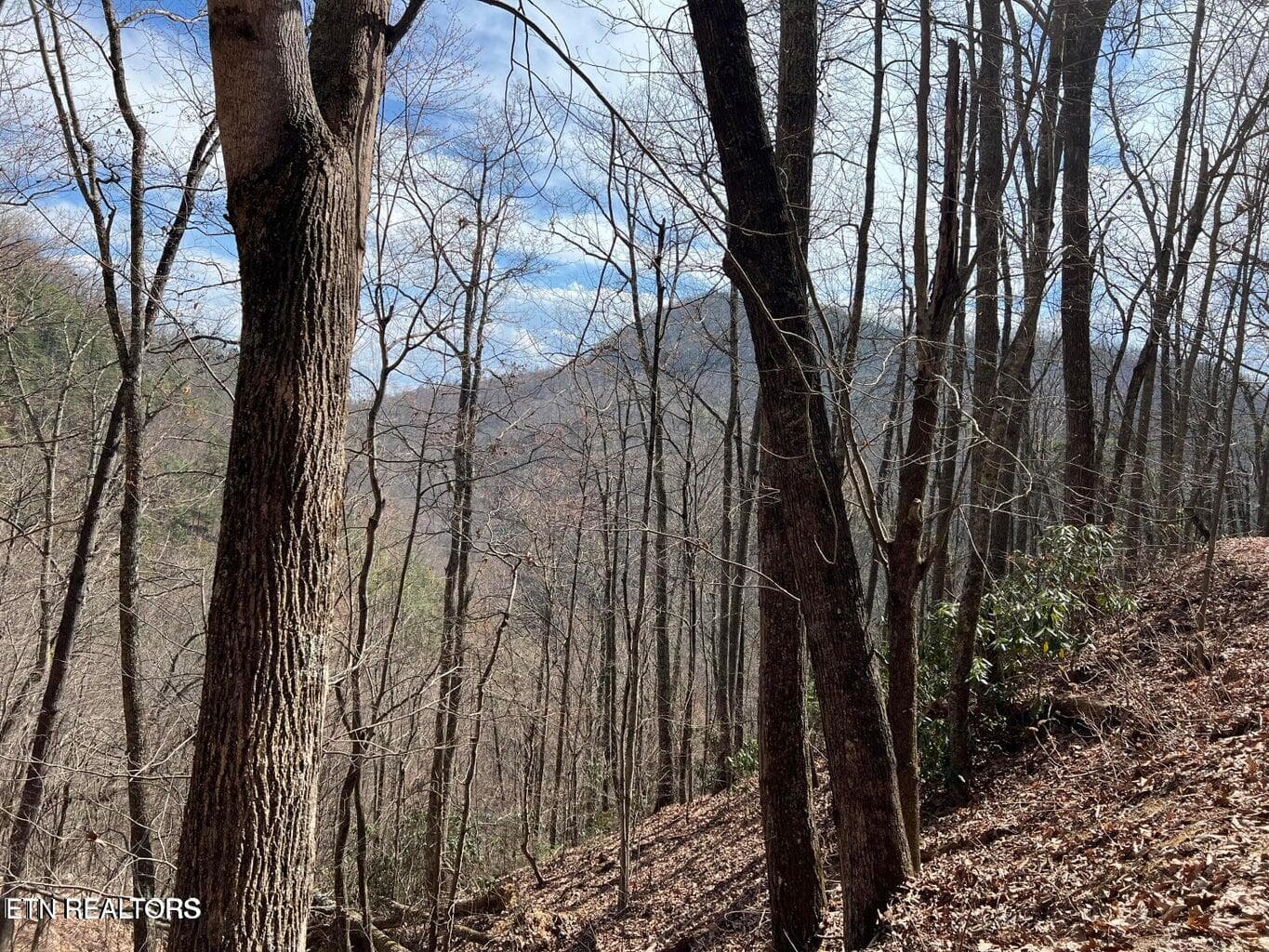 AT4 - Aintree Drive 26, Sevierville, TN 37876
