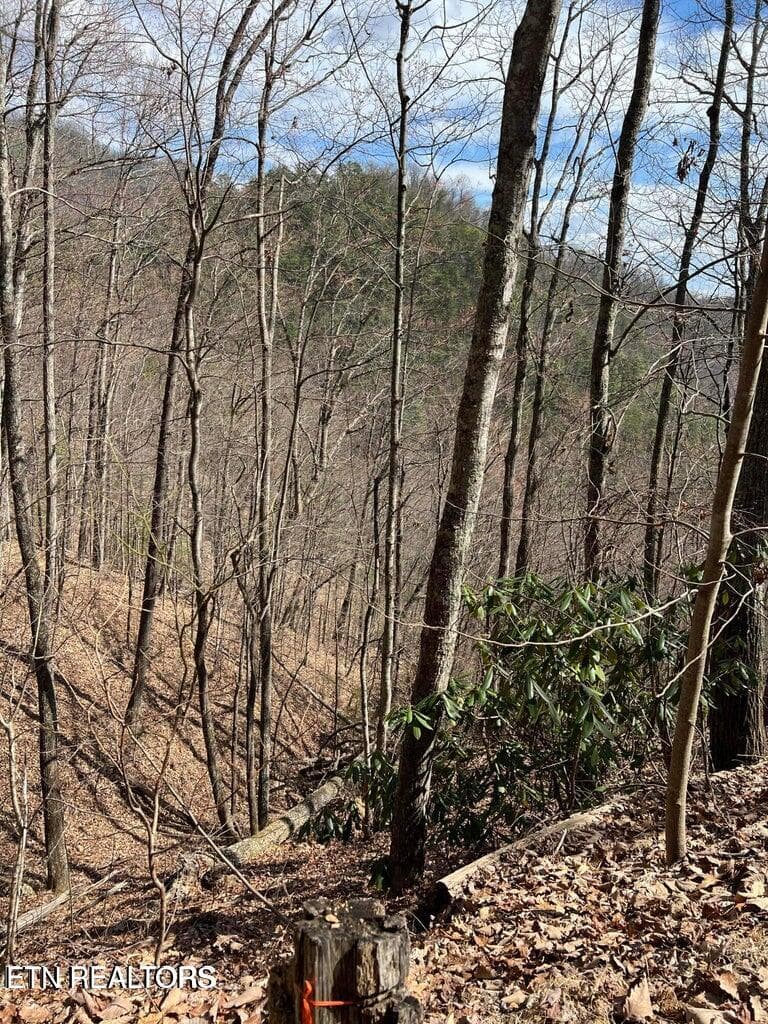 AT2 - Aintree Drive 26, Sevierville, TN 37876