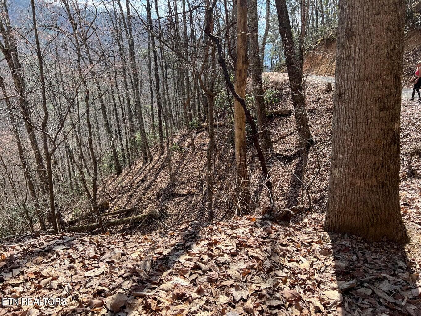 AT1 - Aintree Drive 26, Sevierville, TN 37876
