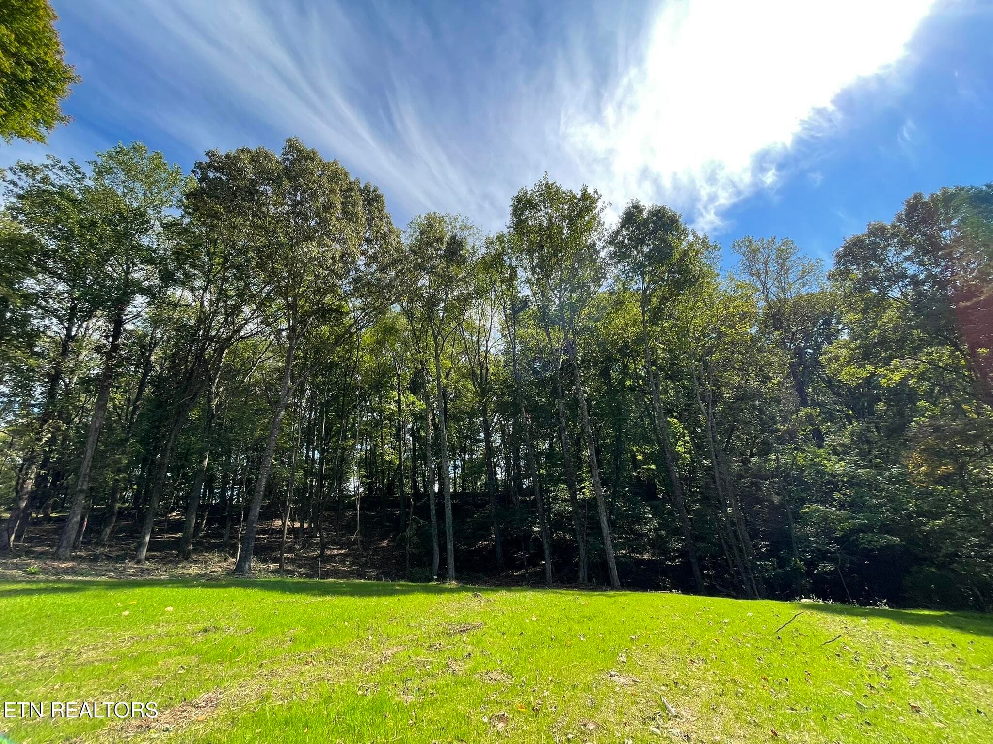 Williams Bend Rd Lot 2, Knoxville, TN 37932