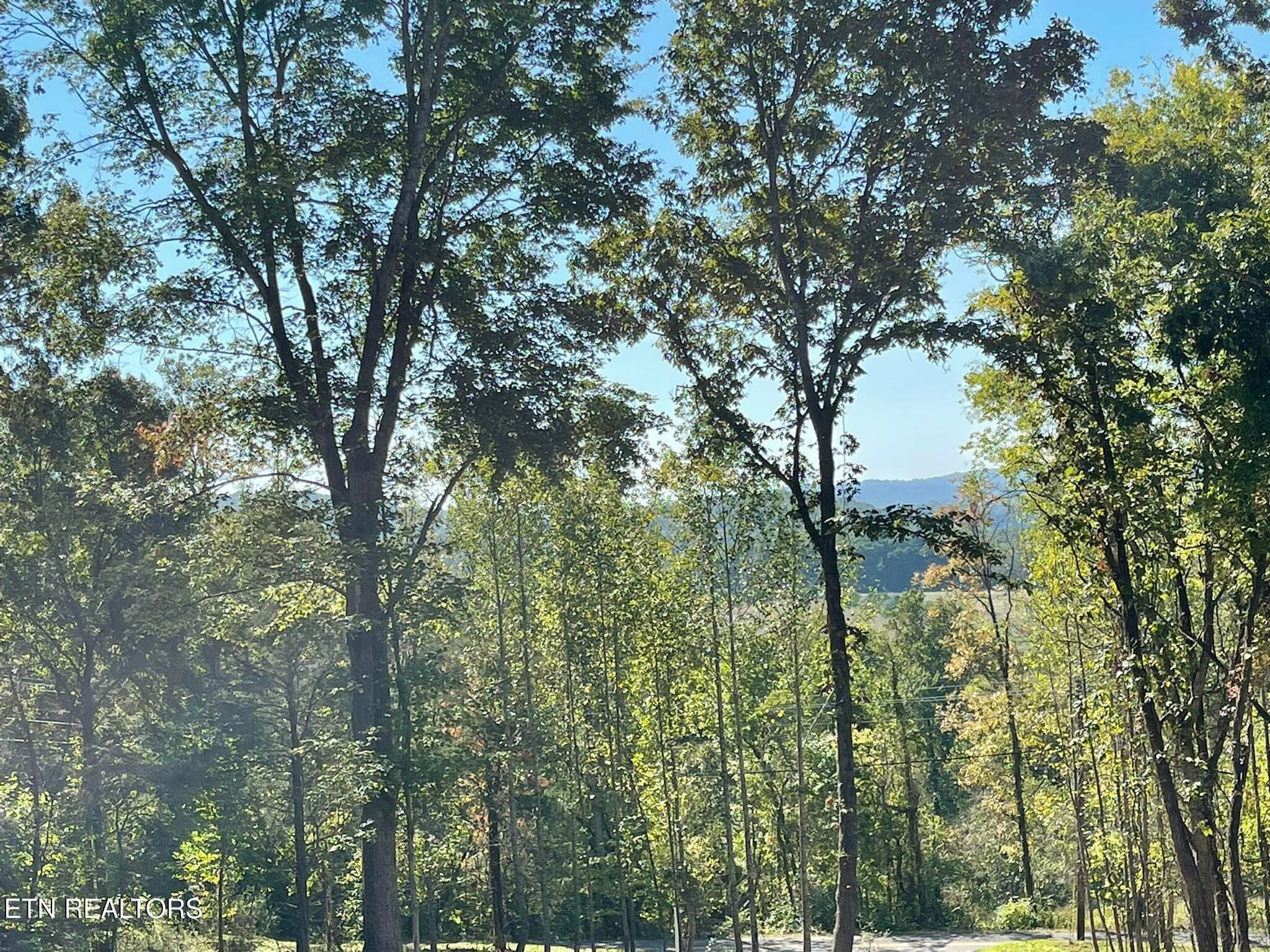 IMG_1354 - Williams Bend Rd Lot 2, Knoxville, TN 37932