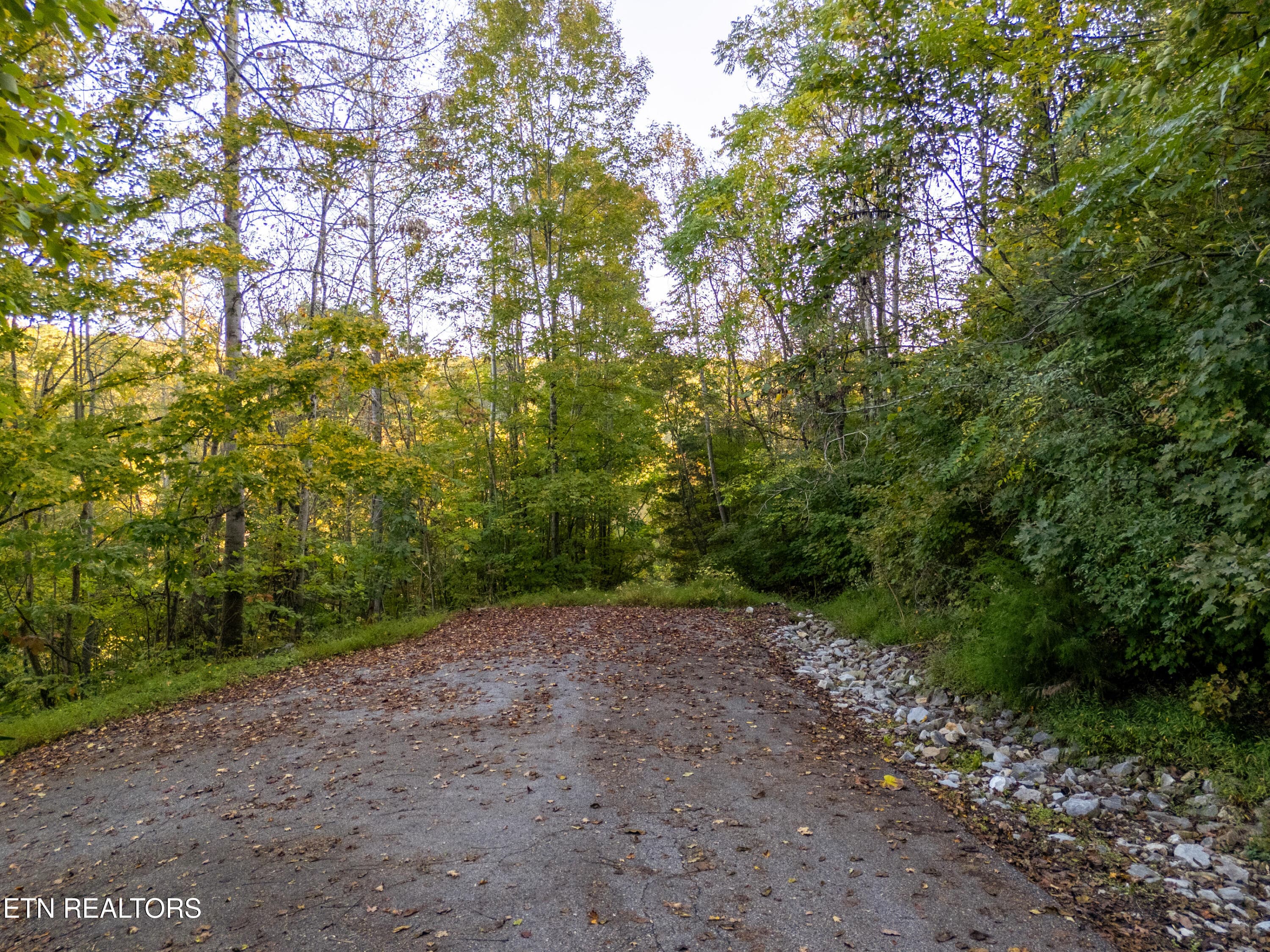 shanghai way lot 13-1 - Shanghai Way Lane, LaFollette, TN 37766, LaFollette