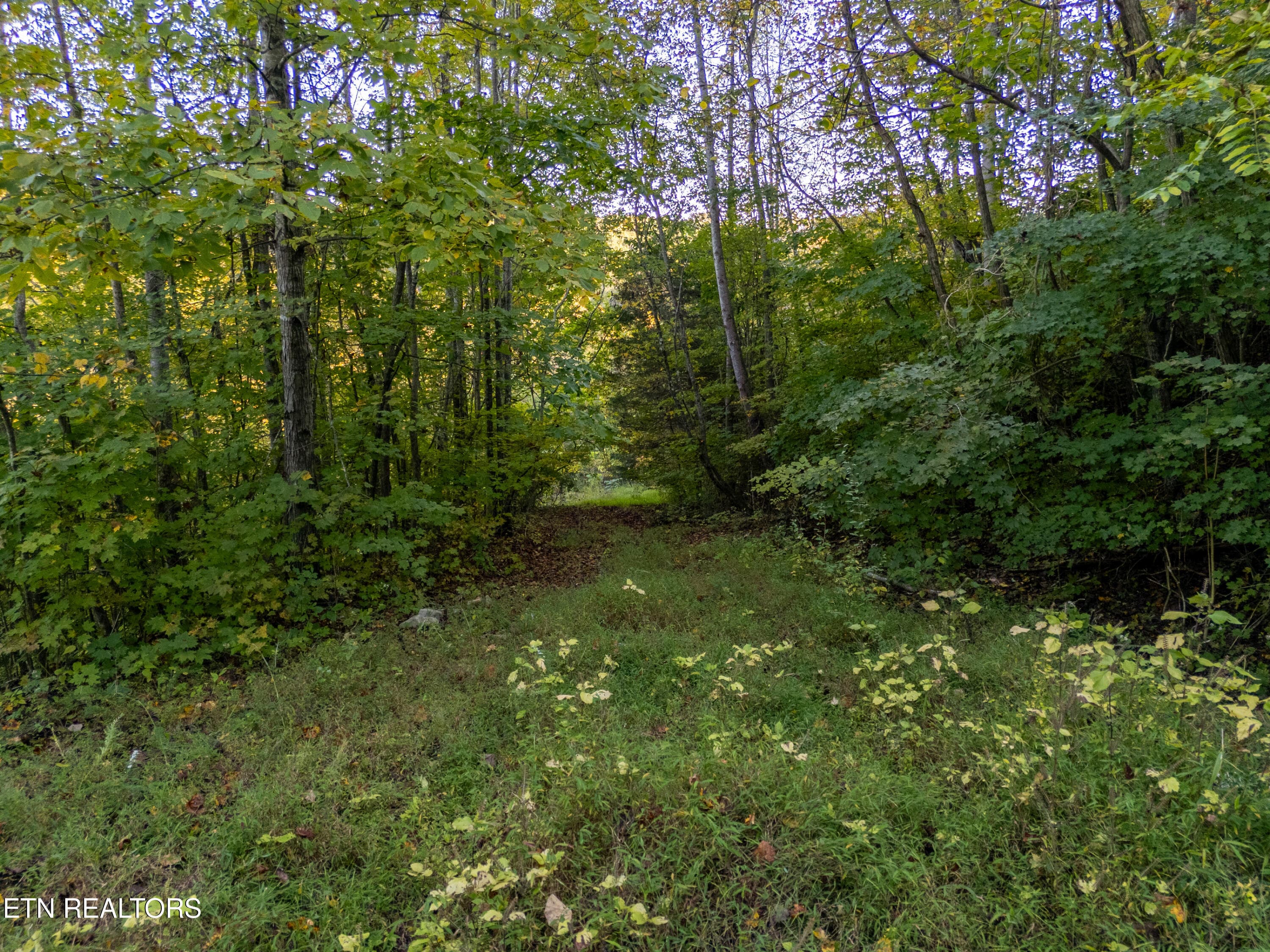 shanghai way lot 13-5 - Shanghai Way Lane, LaFollette, TN 37766, LaFollette