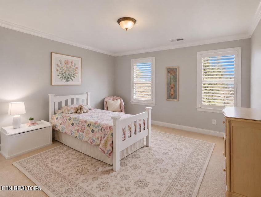 Bedroom 3 - 142 Center Park Lane, Oak Ridge, TN 37830, Oak Ridge