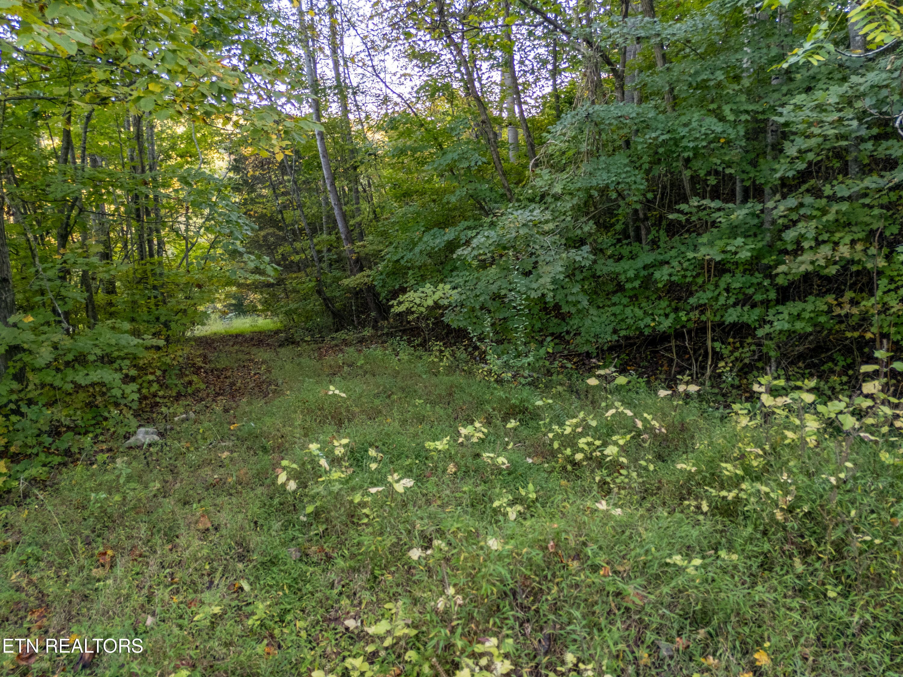 shanghai way lot 13-6 - Shanghai Way Lane, LaFollette, TN 37766, LaFollette
